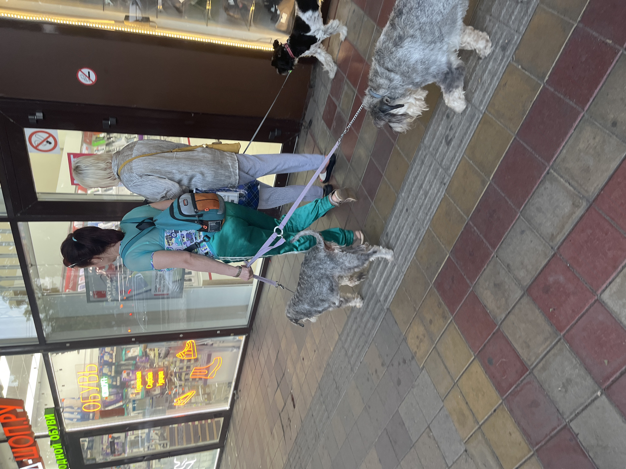 The image shows two women walking three dogs on leashes in front of a shop. The shop appears to be a shoe store with "ОБУВЬ" (shoes) written on the window. There are also "no smoking" signs on the door. The women are dressed casually, and the dogs are of different breeds and sizes. The scene is set on a sidewalk paved with square tiles of red, yellow, and gray. The lighting suggests it is daytime. Based on the Cyrillic signage, the location is likely in Russia, and potentially Krasnodar given the prompt.
