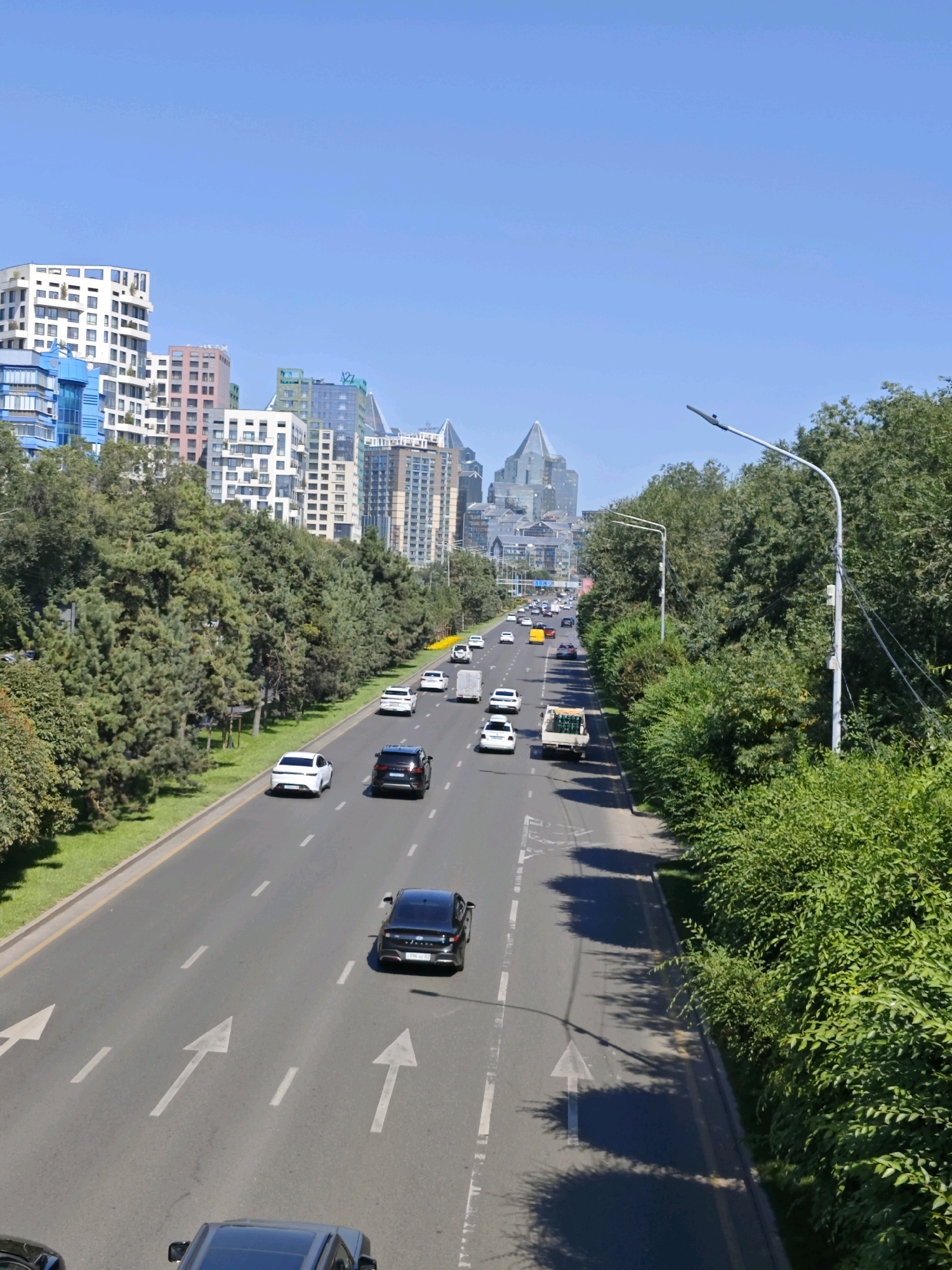 This is an eye-level, vertical, full shot of a city highway in Almaty, Kazakhstan, with a clear blue sky overhead. The highway has multiple lanes, with white arrows painted on the asphalt indicating traffic direction. Several cars are on the road, including a black sedan in the foreground and various white vehicles further down. Trees line both sides of the highway, with dense green foliage on the right and sparser trees and grass on the left. In the background, modern city buildings with diverse architectural styles rise against the horizon, featuring glass facades and geometric shapes. Streetlights are visible along the right side of the road. The overall scene depicts a busy urban environment with a blend of nature and modern infrastructure.
