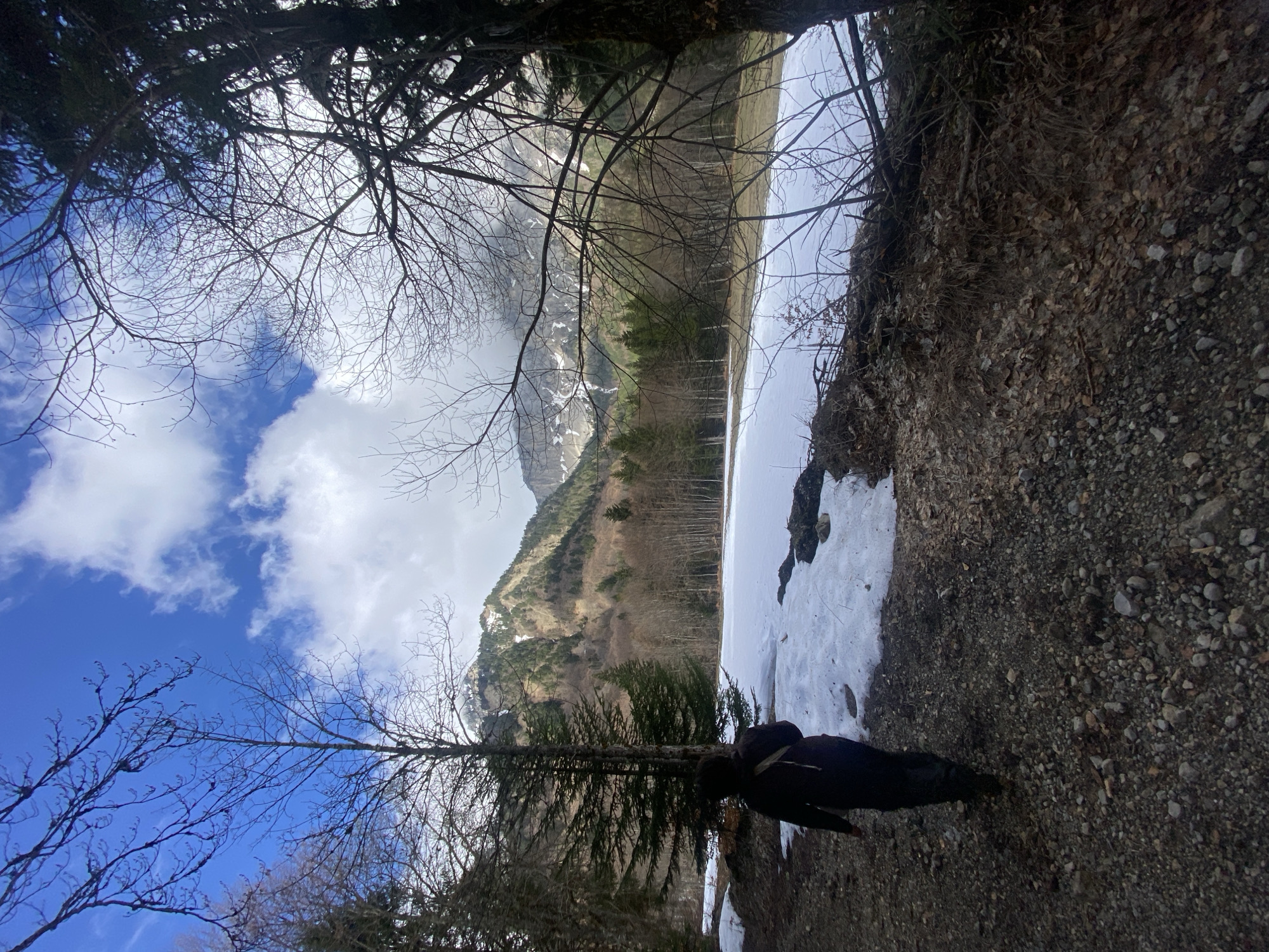The image captures a mountain scene likely in Saint-Michel-les-Portes, France, with elements of a hiking trail and a partially frozen lake or pond. A person stands on a gravelly path with some snow patches. Above, there are bare trees and evergreen foliage framing the sky. The sky has blue patches and white clouds. In the background is a mountain range with some snow cover. The water body is partially covered with ice.