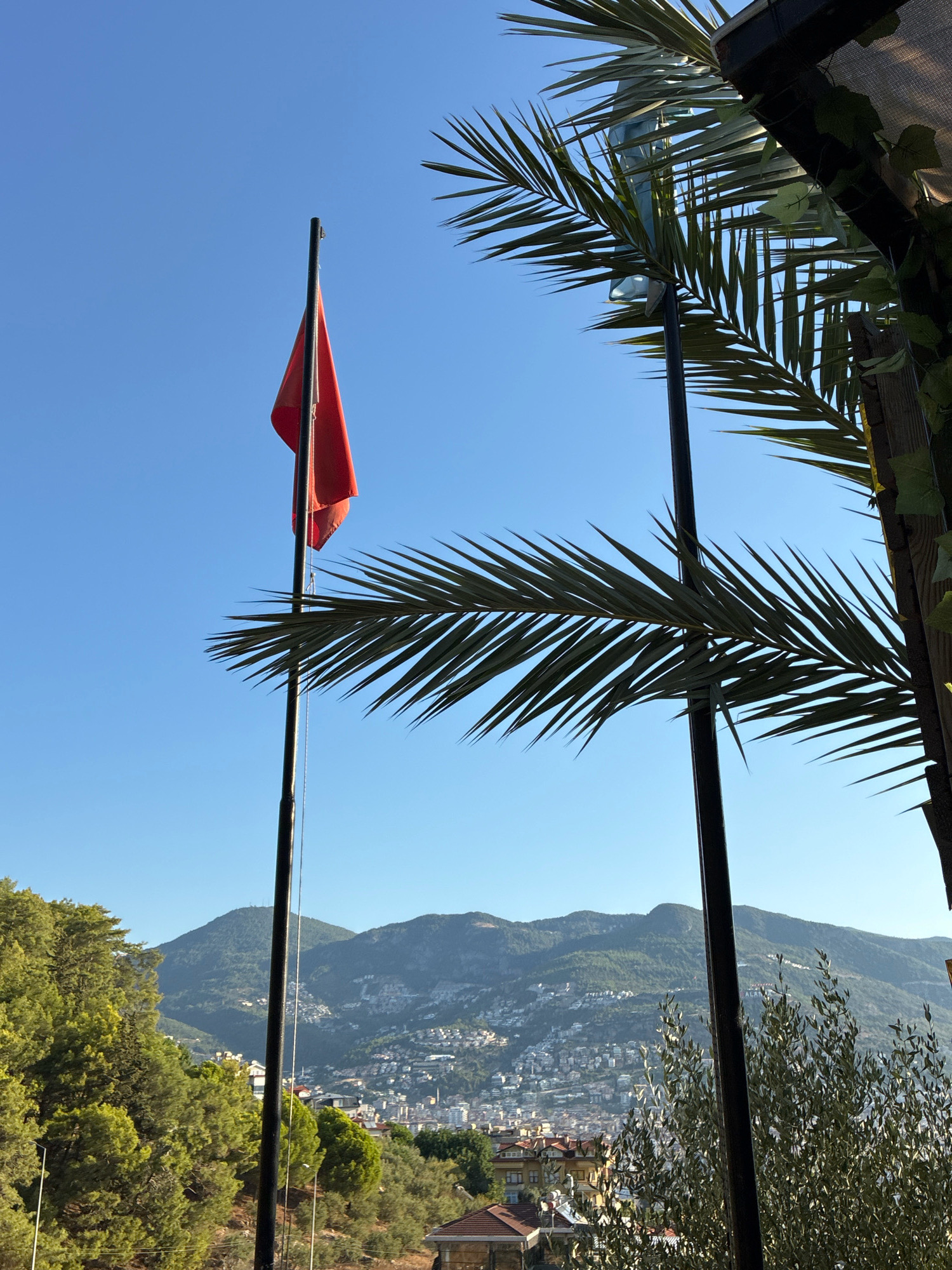 The image is a landscape orientation shot taken from an elevated position, likely a balcony or terrace, looking out over a coastal city nestled against rolling hills. The sky is a clear, vibrant blue. In the foreground, a tall, black flag pole stands prominently, with a bright red flag attached and waving gently. Two palm trees flank the flag pole, their fronds obscuring parts of the background and a portion of a covered structure at the top right of the frame.
Beyond the immediate foreground, the scene opens up to reveal a densely populated city clinging to the slopes of a mountain range. Buildings of various sizes and colors, predominantly white, are scattered across the hillside, with roads winding through them. The mountains themselves are covered in lush green vegetation.
To the left of the frame, a dense cluster of green trees, possibly pine trees, occupies the mid-ground, leading the eye towards the city and mountains. A small portion of a building with a reddish-brown roof is visible at the bottom center of the image, peeking through the foliage. The overall impression is one of a sunny day in a picturesque, hilly Mediterranean coastal town. Given the context of Alanya, Turkey, this scene likely depicts a view from an elevated area within or near the city, looking towards the mountains and the cityscape.