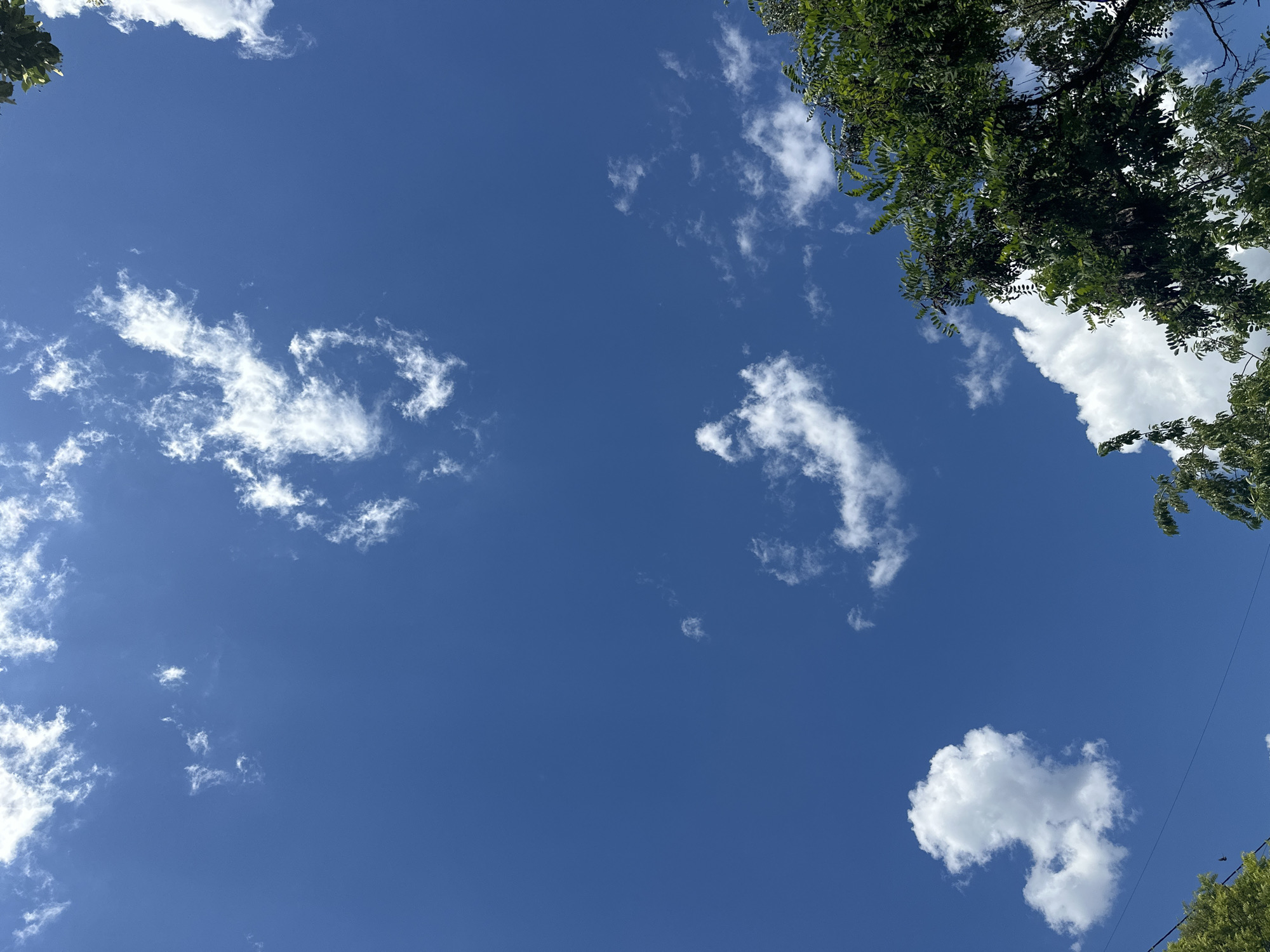 The image depicts a clear blue sky with scattered white clouds, viewed from a low angle looking upwards. The upper right and lower right portions of the frame are partially obscured by the green foliage of trees. Some faint electrical wires are visible in the lower left corner. The scene is outdoors, likely on a sunny day, with no people or specific identifiable objects indicating a particular location within Chișinău, Moldova. The overall impression is one of natural scenery.