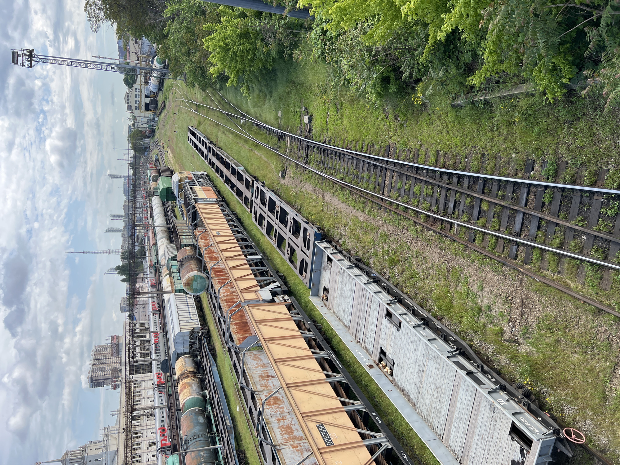 The image depicts a railway yard in Krasnodar, Russia, filled with freight cars on multiple tracks. The cars include tank cars and flatcars, showing varying levels of rust and wear. Tracks branch off to the right and are lined with green grass and vegetation, contrasting with the industrial setting. In the background are cityscape elements, including buildings, towers, and cranes under a cloudy sky.