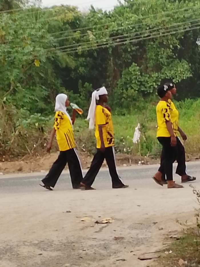 The image captures three individuals, likely women or young adults, walking in a single file line from left to right across an unpaved, dirt road. They are positioned in the mid-ground of the frame.
All three individuals are dressed in matching attire: bright yellow, short-sleeved shirts with black patterns or designs, paired with black pants. The first two individuals from the left appear to have a white stripe running down the outer seam of their black pants. Their footwear consists of simple, open-toed sandals or flip-flops, predominantly in shades of brown or black.
Specific details about each person's appearance:
- The person on the far left wears a white headscarf (hijab) that covers their hair and neck. They are actively drinking from a small, colorful plastic bottle or pouch held up to their mouth. Their yellow shirt features vertical black stripes on the sleeves and possibly on the sides of the torso.
- The middle person has a white cloth or towel draped over their head, tied in a way that allows a portion of it to hang down their back. Their yellow shirt has distinct black geometric patterns on the chest area.
- The person on the far right has dark hair visible, possibly styled, with what appears to be a subtle dark headband or hair covering. Their yellow shirt also displays black patterns on the sleeves and chest.
The activity depicted is a casual walk. Their body postures, with one leg extended forward and the other back, suggest they are mid-stride and moving at a steady pace.
The setting is outdoors, likely in a rural or semi-rural area. The road beneath them is light brown, made of dirt and gravel, with visible small stones and some scattered dry leaves or debris. The background is dominated by lush, dense green foliage, consisting of various trees and bushes, suggesting an environment with abundant vegetation. Thin, dark power lines are faintly visible stretching horizontally across the upper portion of the background, just above the tree line. The lighting appears to be natural daylight, indicating it is daytime, possibly late morning or afternoon, with no harsh shadows, suggesting either an overcast sky or soft sunlight. There are no explicit indicators of weather conditions, but it appears clear. No discernible text is visible on any of the clothing or objects within the image.