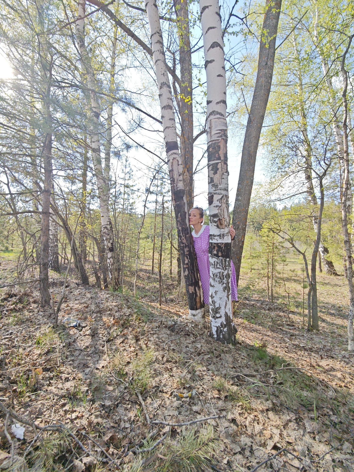 The image shows a forest setting near Noviy, Russia. A woman in a purple and white polka dot dress is partially concealed behind several birch trees with white bark and dark markings. The ground is covered in fallen leaves and small branches. The trees have budding green leaves, suggesting springtime. Sunlight filters through the trees. The background shows more trees and undergrowth.