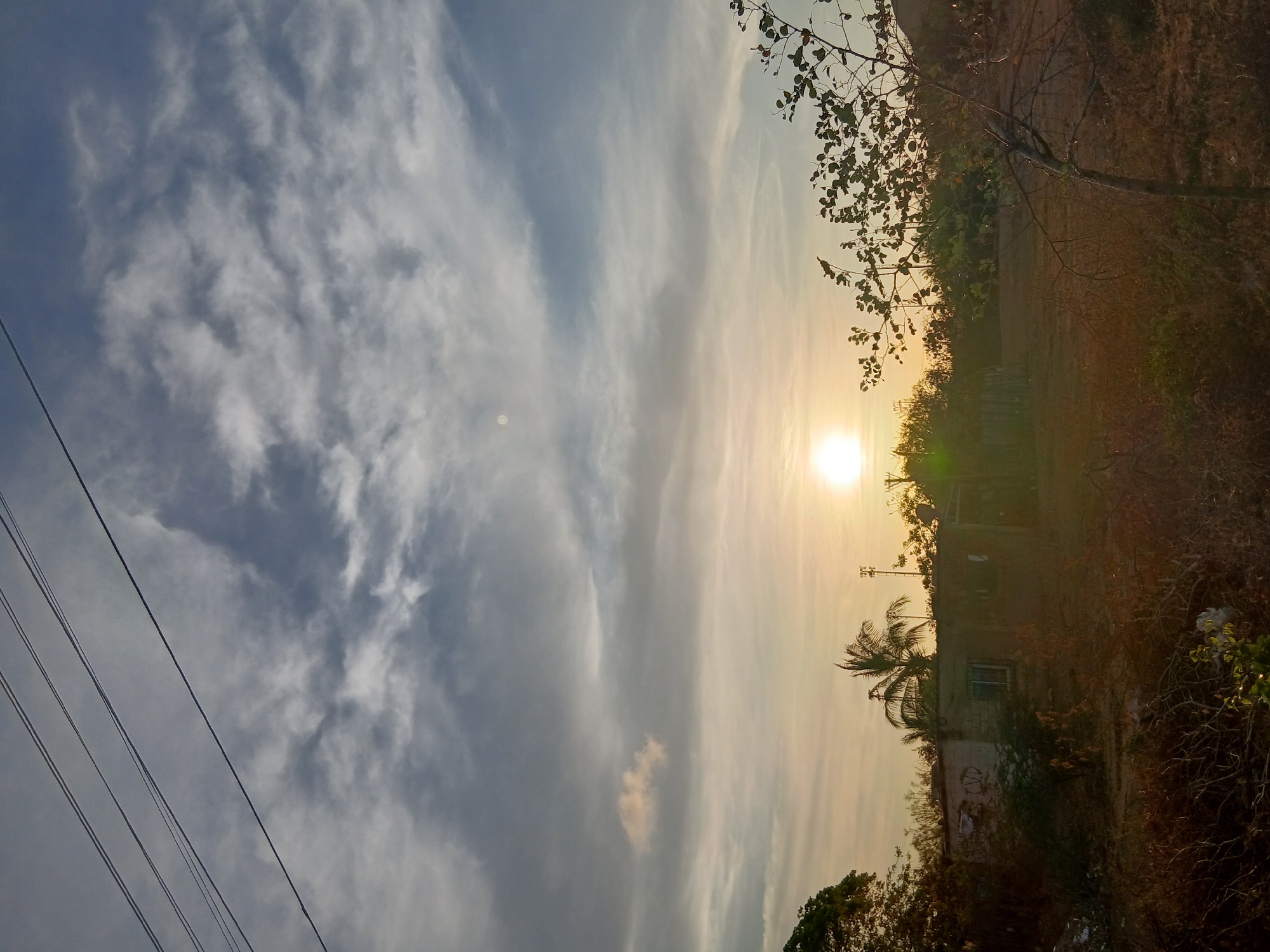 The image captures a vibrant golden hour scene, likely a sunset, over a rural or semi-urban landscape in Altagracia, Venezuela. The bright sun, a glowing orb of intense yellow and orange, is positioned towards the upper right of the frame (when correctly oriented), casting warm light across the sky and landscape.
The sky occupies a significant portion of the image, showcasing a mix of blues and warm, hazy tones around the sun. Scattered, wispy white clouds stretch across the expanse, some appearing elongated by the light, others more textured.
In the midground and foreground, the scene features dry, sparse vegetation characteristic of a dry season or semi-arid environment. There are bushes and trees with some foliage, particularly on the left side (when correctly oriented), and patches of what appears to be dry grass or scrubland.
A modest, somewhat weathered building or house is visible towards the right side of the image, nestled amidst the vegetation. A palm tree stands prominently near the building, and utility poles with multiple power lines cut diagonally across the lower left part of the sky.
The overall atmosphere is one of natural beauty and tranquility, emphasizing the dramatic light of the setting sun. There are faint, illegible markings or graffiti visible on the wall of the building in the cropped view. No human activity is depicted.
