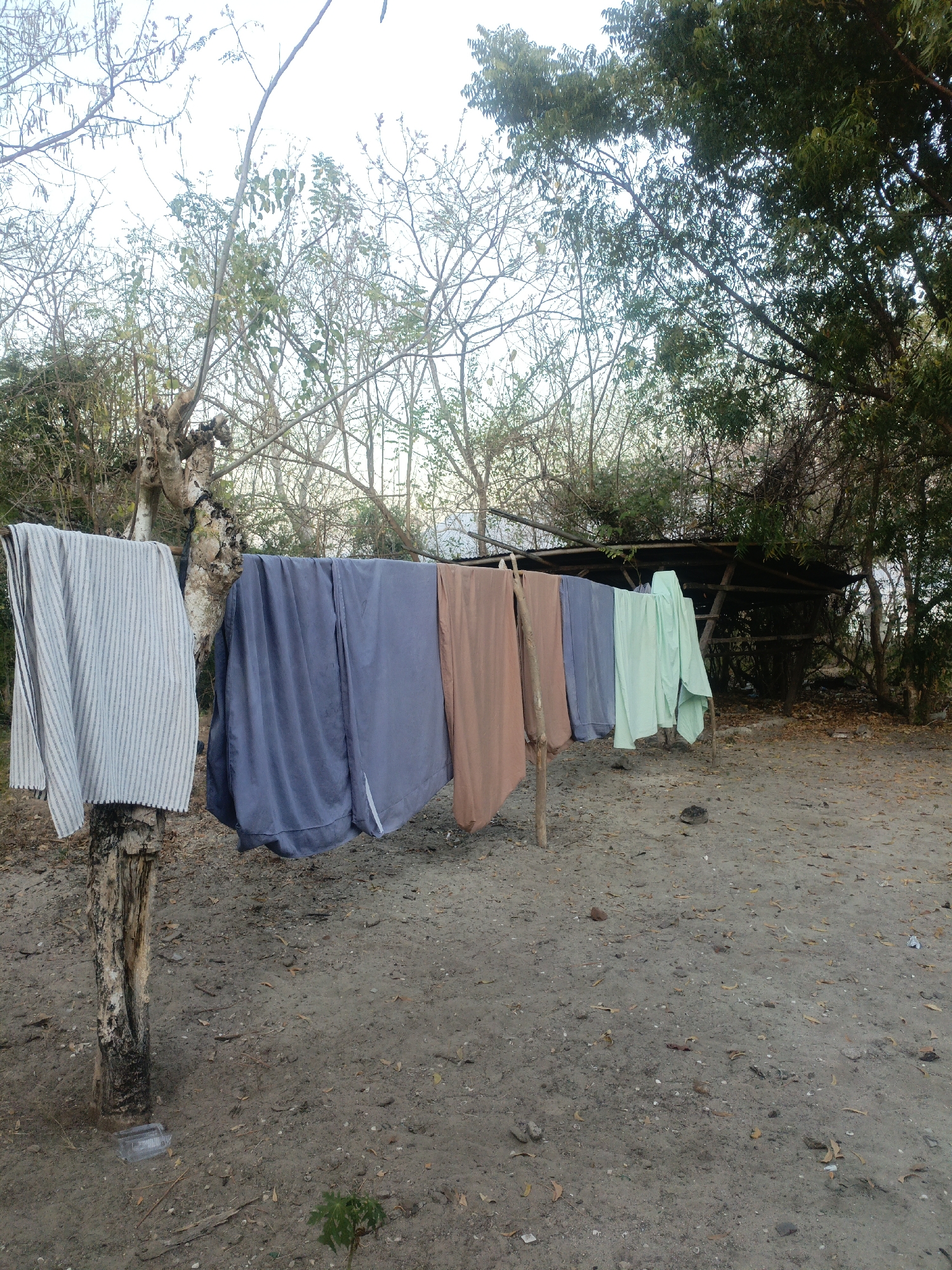 The image depicts an outdoor scene with clothes drying on a line. The scene appears to be in a rural or semi-rural area, possibly Solor Barat, Indonesia, given the arid ground, sparse vegetation, and simple structure in the background.

In the foreground, several pieces of clothing are hung on a clothesline supported by wooden poles. From left to right, the clothes include a striped garment, a solid blue garment, a tan garment, another solid blue garment, and a mint green garment. The clothes are of various sizes and appear to be fabric.

The ground is covered in dry dirt and scattered leaves. There are several dead tree branches visible throughout the scene, with some sparse green foliage on some trees in the background. Behind the clothesline, a rudimentary shelter or structure made of wood and what appears to be a corrugated metal roof is visible. The background is filled with trees and shrubbery, suggesting an outdoor environment.

The lighting suggests it is daytime, possibly late afternoon given the angle of the light. There are no people visible in the image. The overall impression is one of a simple, functional setup for drying clothes in an outdoor setting.