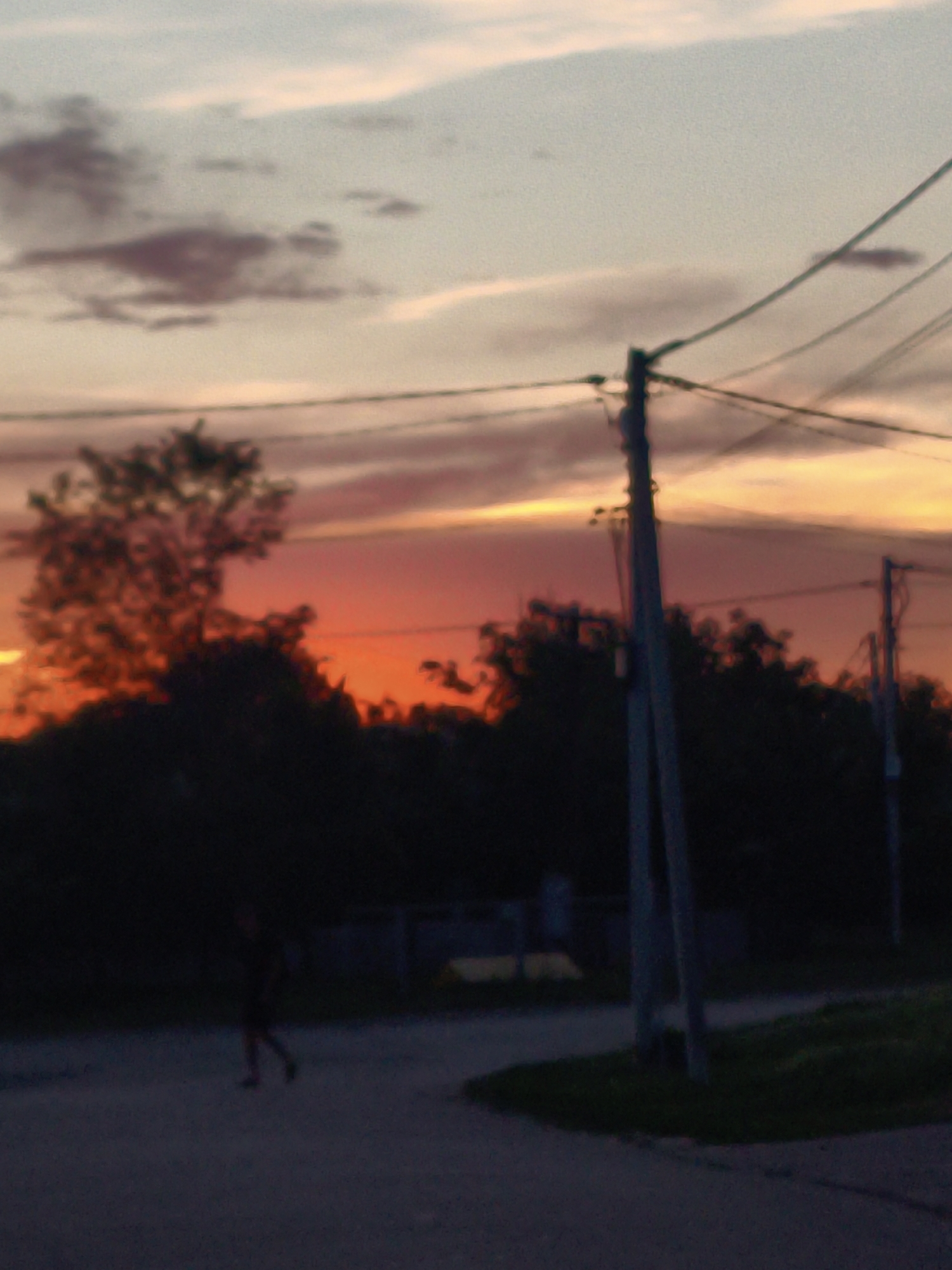 The image depicts a dimly lit outdoor scene during twilight, with a sunset visible in the background. A silhouette of a person is walking on a paved surface in the foreground. Several utility poles with power lines are present, running horizontally across the frame. Dark silhouettes of trees and foliage form a dense line along the horizon, with the vibrant colors of the sunset bleeding through them. The overall impression is a rural or suburban setting in Ustyvytsia, Ukraine, at the end of the day.