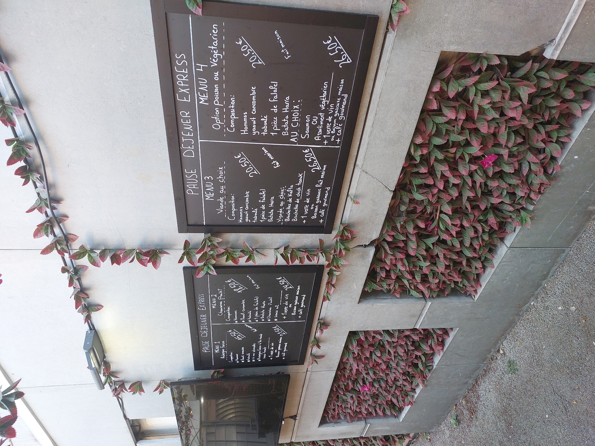 A menu board advertising express lunch options is displayed on an exterior wall of a building in Antibes, France. The menu is written in chalk on a black board, divided into four sections: Menu 1, Menu 2, Menu 3, and Menu 4. Menu 1 lists "Aubergines Farcies" (stuffed eggplants) as the main dish and includes hummus, cucumber yogurt, tabouleh, falafel, and batata harra, with an option for a glass of wine or homemade fizzy drink with a gourmet coffee for an additional price. Menu 2 features "Chausson Poulet" (chicken pastry) with the same accompanying dishes as Menu 1. Menu 3 and Menu 4 offer choices between meat or vegetarian/fish options. Menu 3 includes "Brochettes de Kefta" or "Brochettes de chich taouk" (meat skewers), while Menu 4 offers "Saumon" (salmon) or "Assortiment végétarien" (vegetarian assortment), both with the same side dishes as the other menus. Prices are indicated for each menu. The menu board is adorned with artificial red and green ivy-like plants. The building's facade is concrete, and the menu board is mounted on this wall. Below the menu board, there are planters filled with dense foliage, also featuring red and green leaves, with occasional pink flowers. The ground in front of the building is covered with gravel.