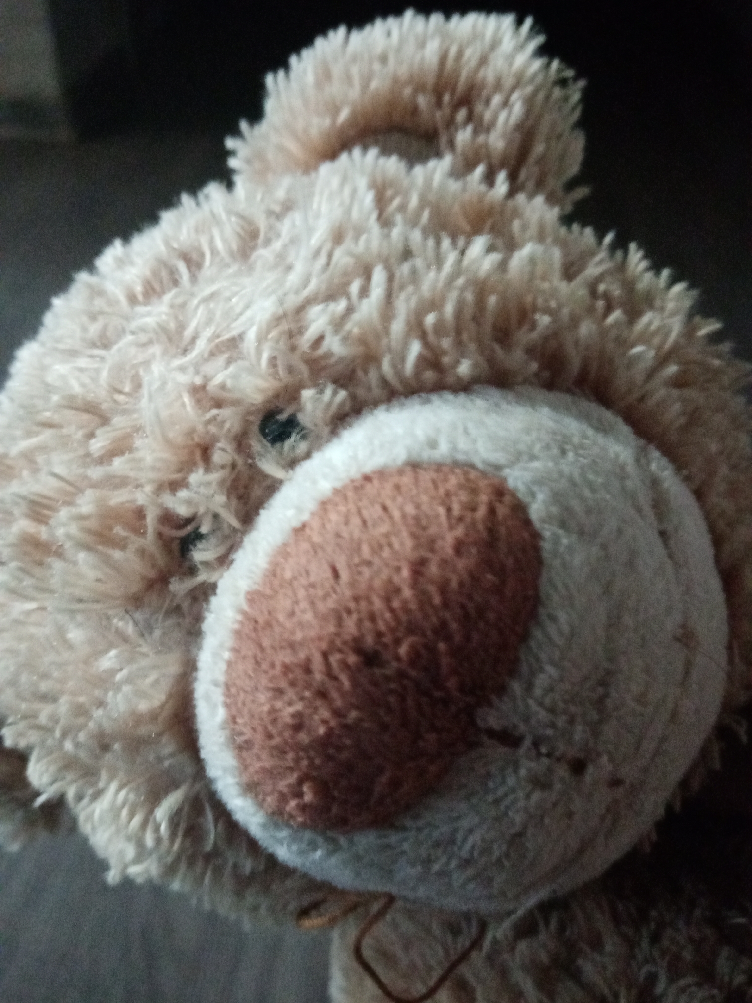 The image depicts a close-up view of a stuffed teddy bear. The bear has soft, light-brown fur and a white muzzle with a brown nose. Its eyes are small and black, partially obscured by the fur. The background is dark and out of focus. The bear is positioned in the lower half of the image, with its head slightly tilted to the right. There are no people visible in the image. There is no evidence to suggest the location is in Elektrostal, Russia.