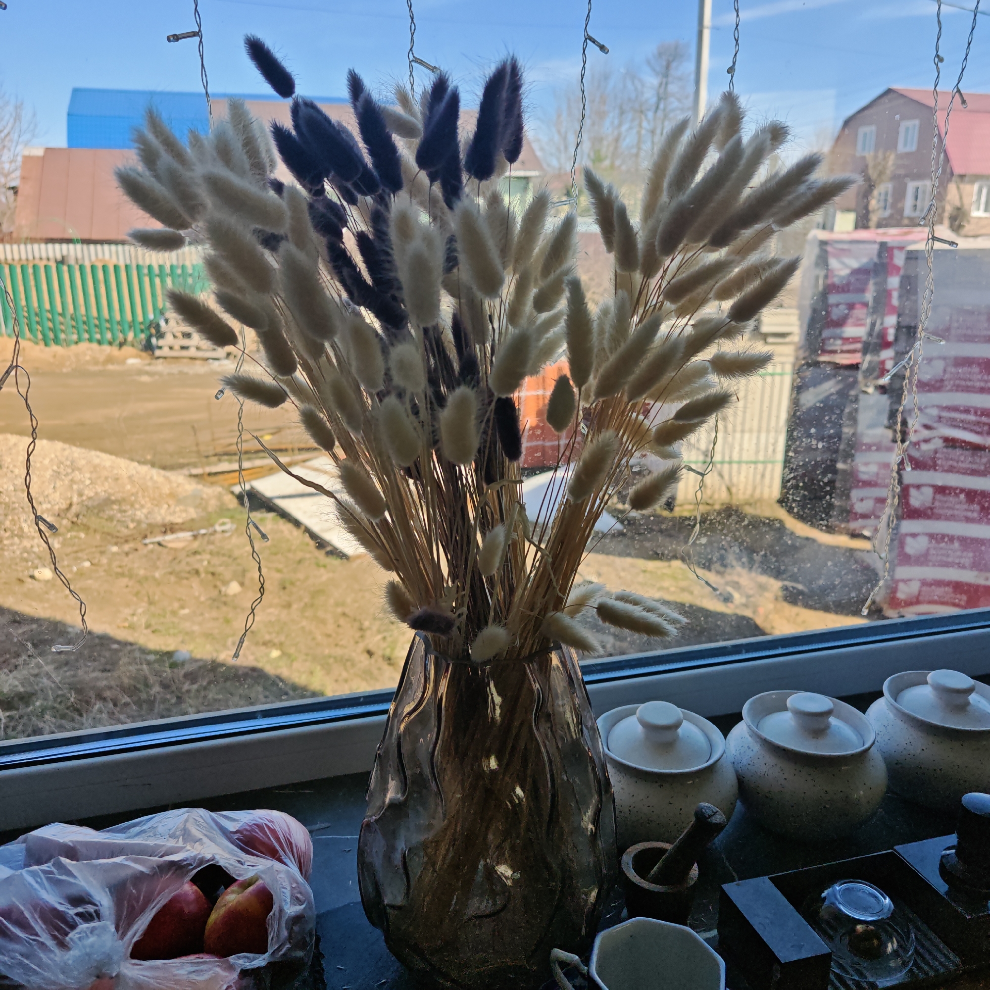 A photograph, likely taken indoors, shows a windowsill cluttered with various items. A vase filled with bunny tail grass, some dyed a dark color, is centrally positioned. A plastic bag filled with apples sits on the left. To the right of the vase, there are three small, lidded ceramic containers, a mortar and pestle, and other small objects.
The window behind the objects reveals an outdoor scene with a green fence, a blue-roofed building, and a house with a red roof. The scene appears to be residential.
The photograph was taken in Rostov, Russia.