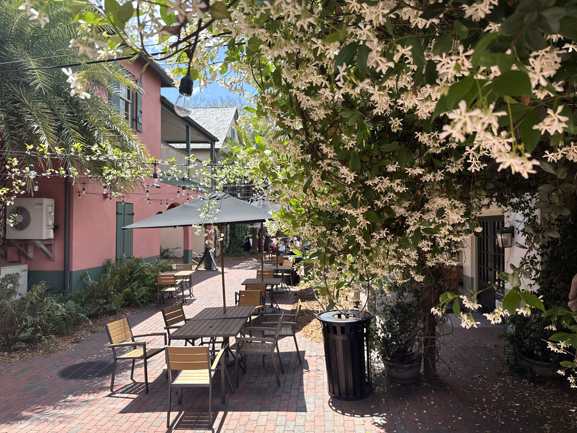 This outdoor courtyard in Saint Augustine, Florida, features tables and chairs arranged on a brick-paved area, shaded by a large black umbrella. A building painted a salmon color with green trim is visible on the left, while a tree covered in white flowers dominates the right side. A palm tree and hanging string lights are also present. A black trash receptacle stands near the flowering tree. People are seated at some of the tables, and the overall scene appears to be a restaurant or cafe setting.