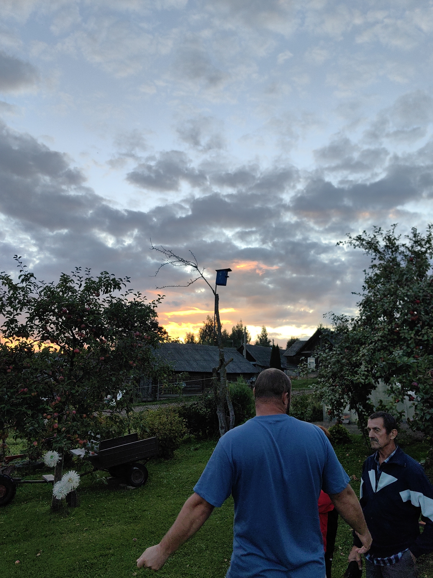 In the rural village of Дзямідавіцкі сельскі Савет, Belarus, at dusk, two men are standing in a grassy yard. The man in the foreground, facing away from the camera, is wearing a blue t-shirt. To his right, another man, facing the first man, is wearing a jacket over a plaid shirt. Behind them, an apple tree laden with fruit stands to the left, with a small cart and white flowers at its base. In the background, traditional wooden houses are visible. The sky is dramatic with heavy clouds, illuminated by the warm hues of the setting sun, casting a glow over the landscape. A birdhouse is mounted on a pole near the center of the frame.