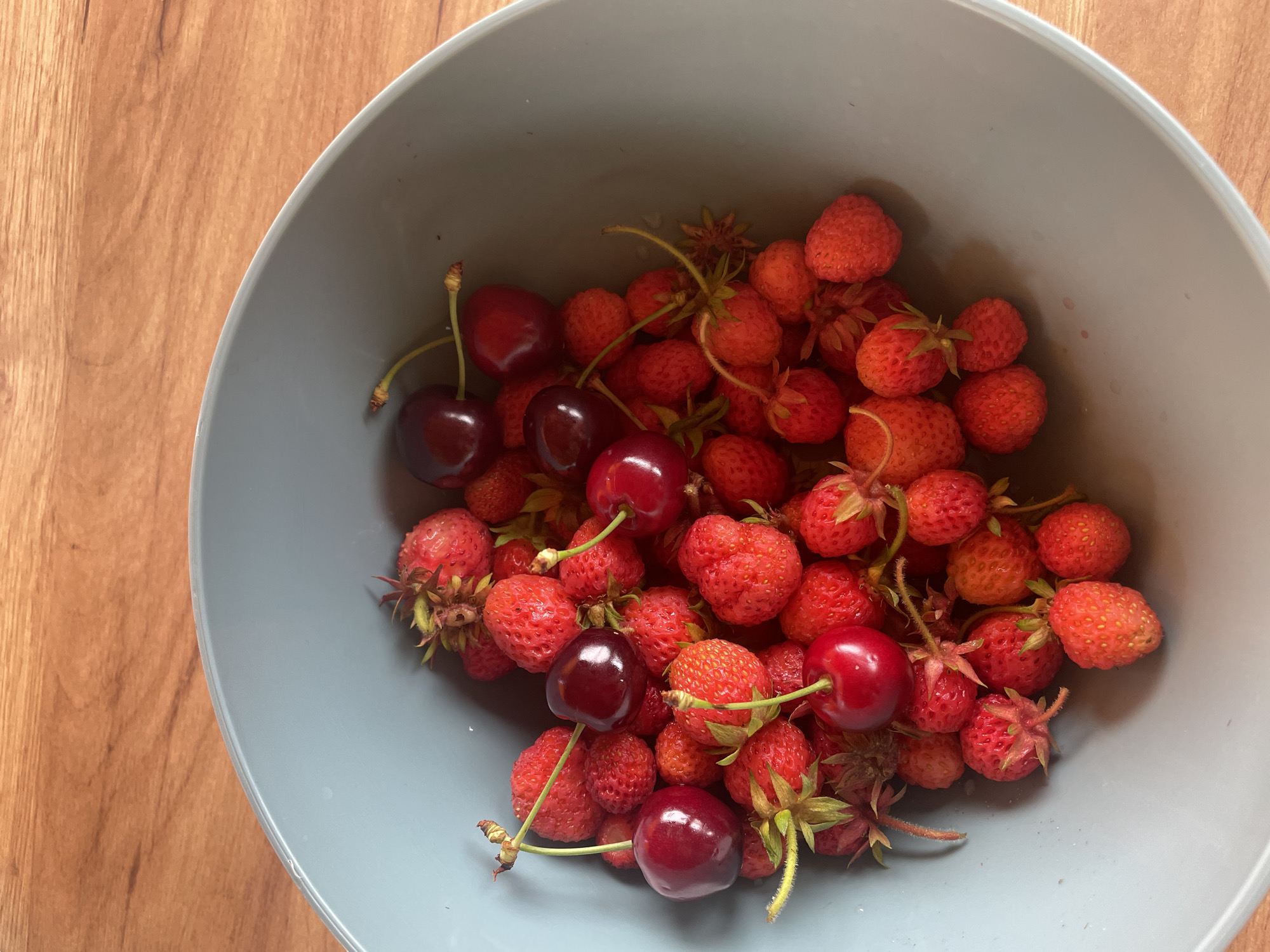 A light grey-blue ceramic bowl, partially visible on a wooden surface, contains a dense cluster of fresh fruits. The majority of the fruits are small, red wild strawberries or similar garden strawberries, displaying a textured surface and some with attached green calyxes. Interspersed among the strawberries are approximately ten dark red, almost black, cherries, each with a slender green stem. The fruits are tightly packed, filling the lower portion of the bowl. The wooden surface beneath the bowl exhibits a distinct grain pattern in shades of light brown and orange-brown. The scene is illuminated by ambient light, creating soft shadows within the bowl and highlighting the natural textures of the fruits and wood. The photograph depicts these items in Petrivka, Ukraine. No individuals or actions are depicted.