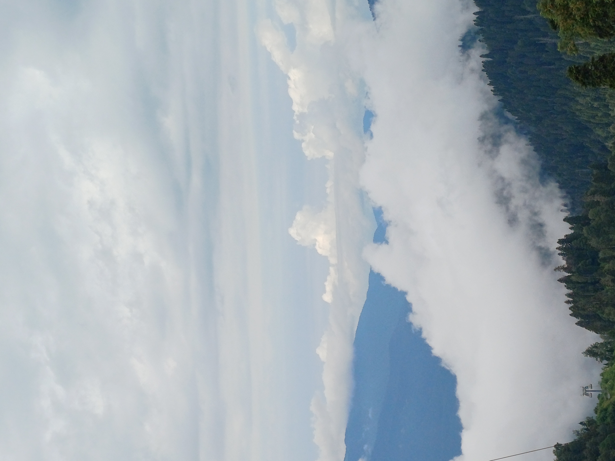 This is a scenic, vertical shot of a mountainous landscape on a cloudy day. In the foreground, a dense, dark green pine forest covers a steep slope on the right side of the image. A cable car pylon and some cables are visible on the left side. The midground is filled with thick, white clouds that partially obscure rolling, blue-hued mountains. These clouds appear to be drifting amongst the mountain peaks. The background is dominated by a pale, overcast sky with layers of grey and white clouds. The location is likely the area around Estosadok, Russia, known for its mountainous terrain and ski resorts. There are no people visible in the image.