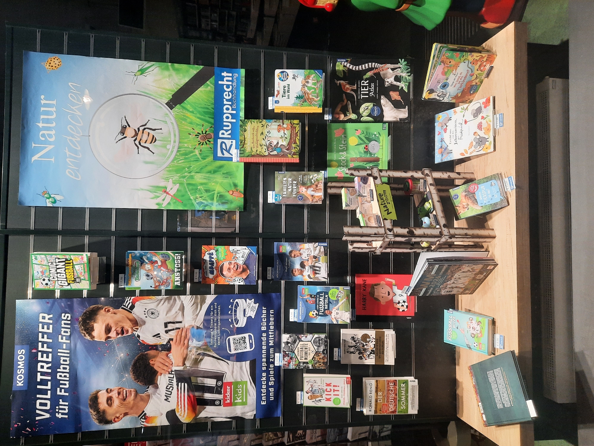 The image depicts a retail display of books and other merchandise, likely within a bookstore. The display is set against a dark, grid-like background. Prominently featured is a large poster on the left advertising "VOLLTREFFER für Fußball-Fans" (which translates to "Perfect Hit for Football Fans") with images of German football players. To the right of this poster, smaller books and publications are arranged in a grid. Further to the right, a larger poster titled "Natur entdecken" (Discover Nature) is displayed, featuring illustrations of insects and a magnifying glass. Below these posters, more books are arranged on shelves and on a wooden counter in the foreground. The books cover a variety of themes, including football, nature, children's stories, and atlases. The overall impression is of a well-stocked and organized retail environment. The presence of "Rupprecht Buchhandlung" (Rupprecht Bookstore) branding on a poster and price tags indicates the establishment. Based on this branding and the visible selection of books, it is highly probable that this image was taken at the Rupprecht Buchhandlung located in Rosenheim, Germany.