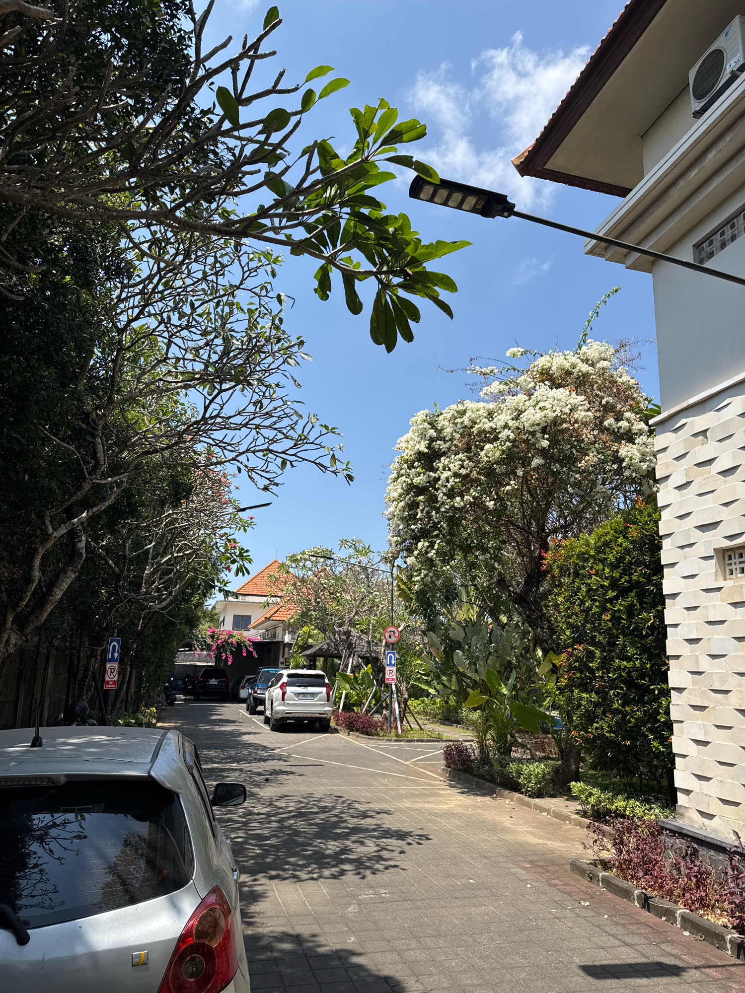 The image captures a sun-drenched street scene in Denpasar, Indonesia, likely during daylight hours. The foreground features the rear of a silver hatchback, its reflective surface showing dappled sunlight and tree branches. The street itself is paved with interlocking gray bricks.
To the left, a lush green hedge borders the street, with several trees branching out, some bearing green leaves and others with bare, intricate branches. A street lamp with multiple LED panels is mounted on a pole extending from the right side of the frame, positioned above a white building with a textured facade. The building has a prominent tiled roof and an air conditioning unit mounted high on its wall.
Further down the street, several cars are parked. A white SUV is prominently visible, followed by a dark SUV and other vehicles. Road signs are present, including a U-turn sign and a "No Parking" sign. The background reveals more of the tropical environment, with dense foliage, flowering trees bearing white blossoms, and glimpses of residential buildings with red-tiled roofs. The sky is a clear, vibrant blue with scattered white clouds. The overall impression is of a well-maintained, pleasant street in a tropical urban setting.