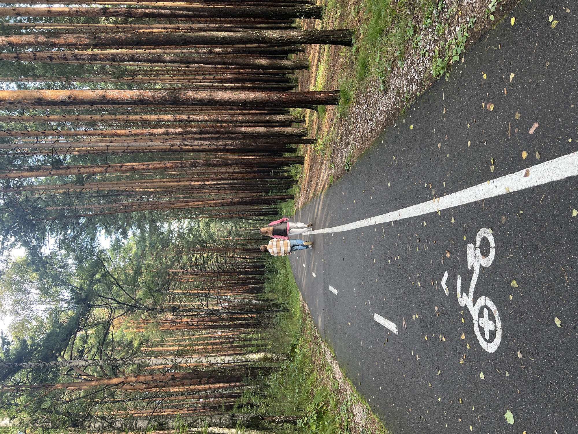 The image shows a paved path in a forest. The path is lined with tall, slender trees, primarily pines with some birch trees visible. The ground is covered with fallen leaves and green grass. On the path, a white line divides the lanes, and a white bicycle symbol is painted on the asphalt. Two individuals are walking away from the camera on the path. One person is wearing a horizontally striped long-sleeved shirt and blue jeans, and the other is wearing a pink hooded vest over a dark top and light-colored pants. The sun casts dappled light through the trees onto the path and surrounding foliage. This scene is consistent with a park or recreational area within the city of Krasnoyarsk, Russia, likely a designated biking or walking trail within a forested zone.