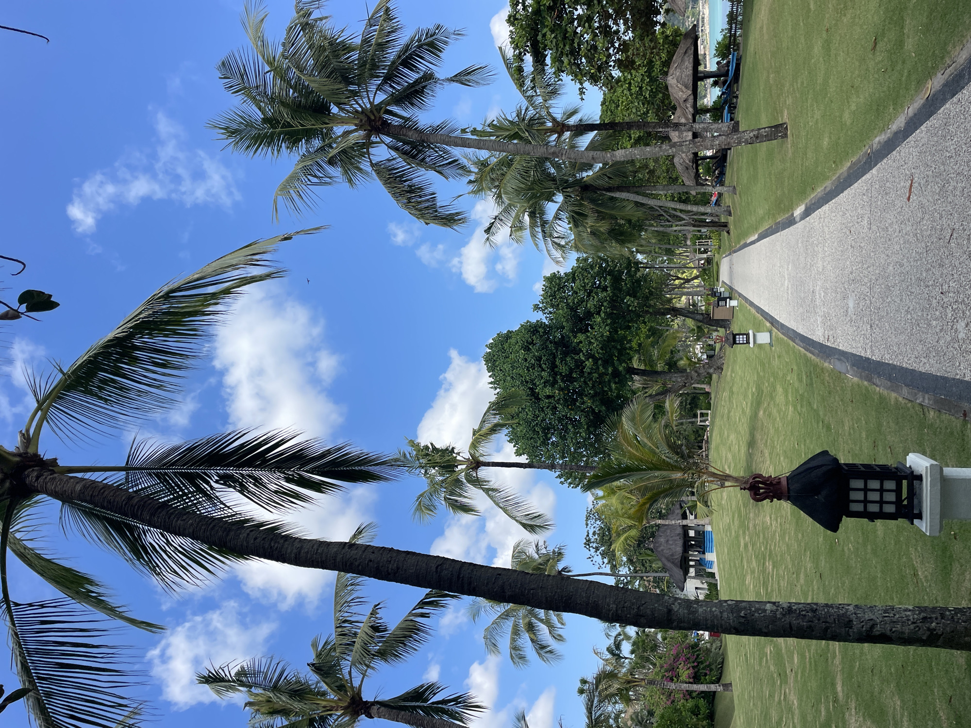 This image depicts a tranquil tropical outdoor scene, likely a resort or well-maintained park. The perspective is looking down a pathway lined with lush vegetation.
The dominant subjects are numerous tall palm trees with vibrant green fronds, standing on both sides of a paved path. Their dark, textured trunks reach towards a bright blue sky filled with scattered, fluffy white clouds. Expansive green lawns flank the pathway, with other dense green trees and shrubs visible in the background and mid-ground.
A light-colored paved pathway, possibly made of small stones or aggregate, runs through the center of the image, bordered by a darker band. Along this path, several decorative garden lanterns or lamps, featuring dark, possibly metal, tops and lighter bases, are visible. In the distance, nestled among the trees, are structures with dark, thatched roofs, suggesting bungalows or gazebos, with a hint of blue on one.
The scene is set during the day, under clear, sunny weather, indicated by the brilliant blue sky and well-lit landscape. The overall atmosphere is peaceful and serene, characteristic of a tropical vacation destination. There are no people visible, and no discernible text within the image.