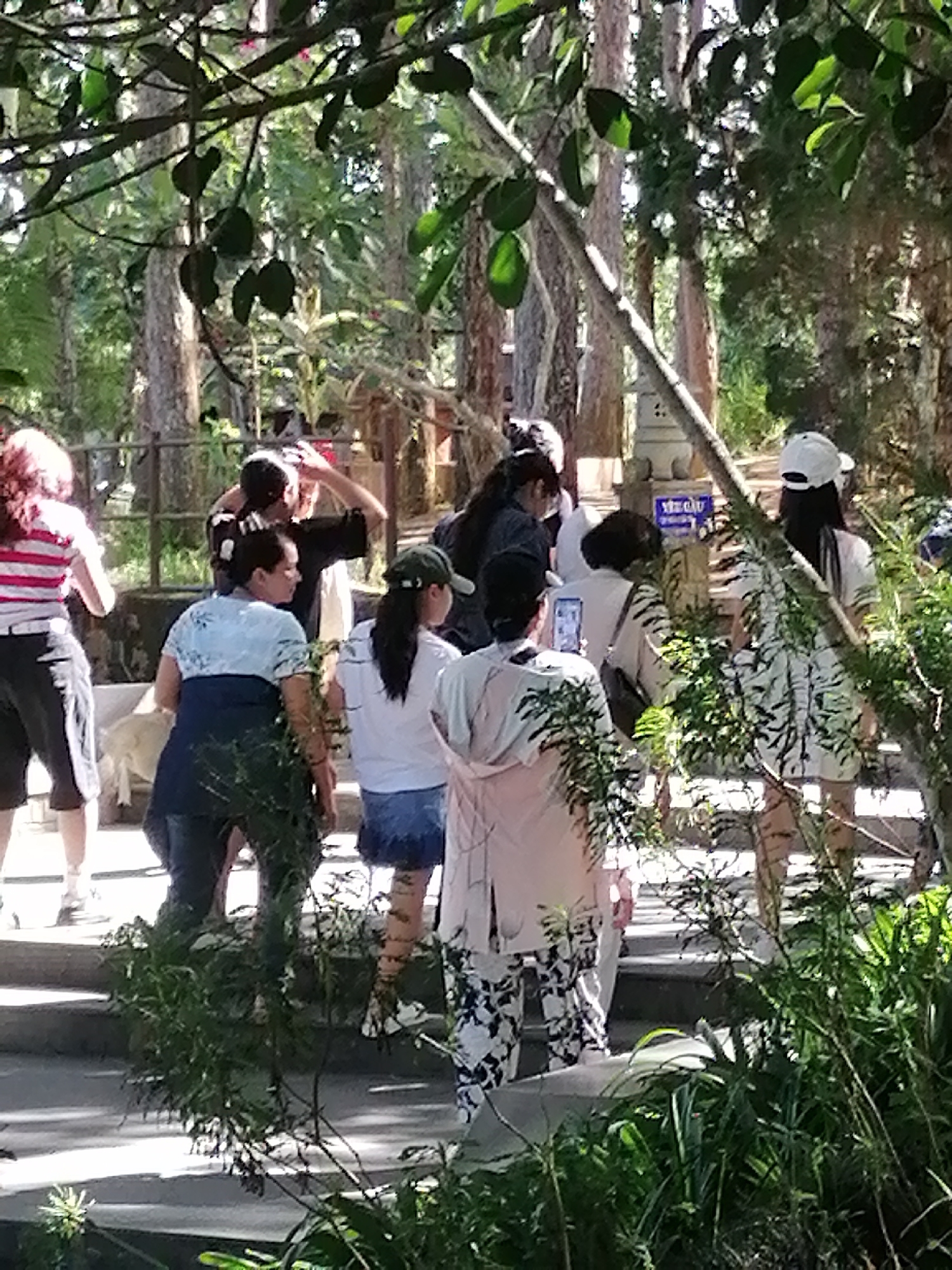 A group of people are gathered on stone steps in a wooded area, possibly a park or temple in Da Lat, Vietnam. The foreground is obscured by dense green foliage. On the steps, a woman in a white and blue patterned shirt and a dark blue vest stands facing away from the camera. To her left, a woman in a red and white striped shirt and black pants is also facing away. To her right, a woman in a white t-shirt and blue denim skirt looks to the side. Behind them, a man in a black shirt adjusts his hair. Further back, several other individuals are visible, including a person in a white cap and dress, and another holding a phone. A small, white dog is visible on the lower steps. A sign with blue text is mounted on a stone pillar in the background. The scene is illuminated by natural light filtering through the trees.