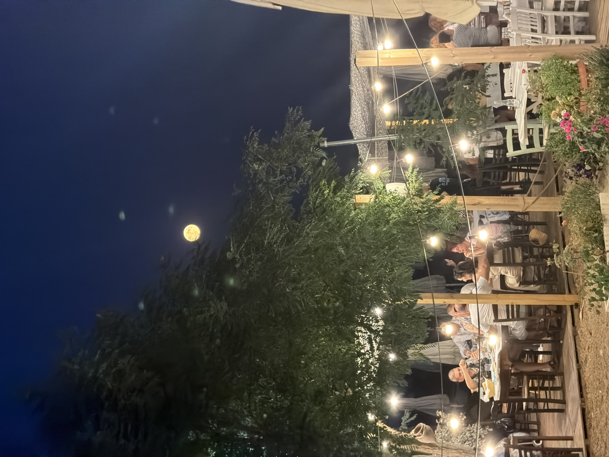 The image depicts an outdoor dining scene at night, likely in Νέα Καλλικράτεια, Greece, under a full moon. A group of people are seated at tables, engaged in conversation and dining. The atmosphere is illuminated by string lights draped from trees and overhead structures. The foreground features potted plants with flowers, while the background shows more tables and seating areas, suggesting a restaurant or taverna. The dark sky with a visible moon indicates a nighttime setting.