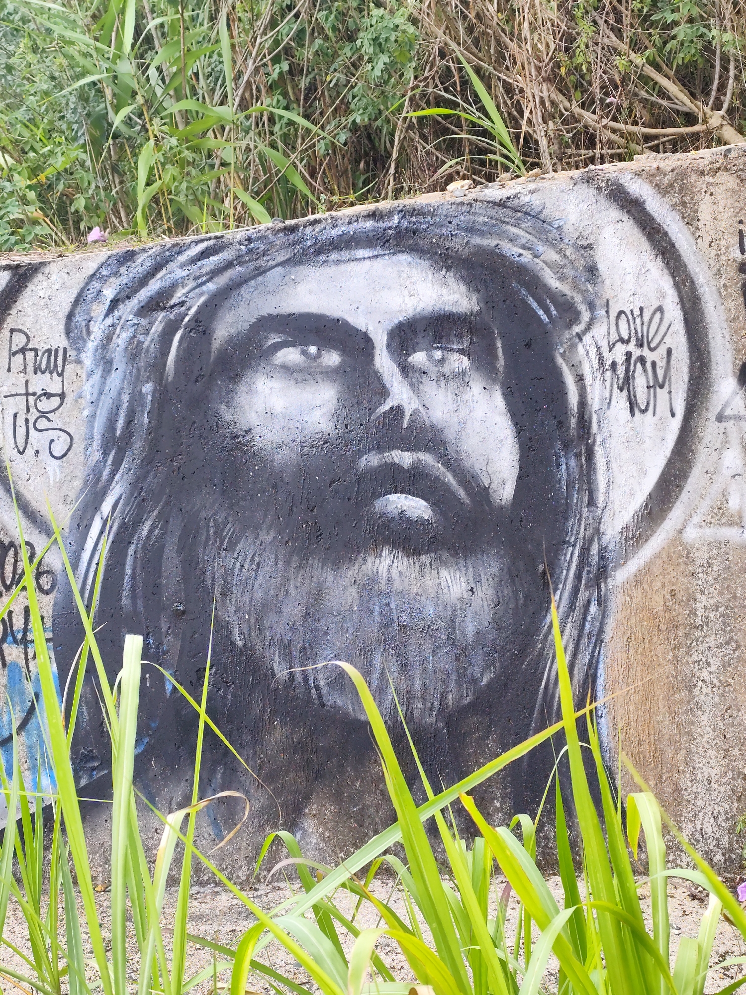 A mural of a man, presumably Jesus Christ, is spray-painted on a concrete wall. The artwork is black and white, featuring the man's face with long hair and a beard. To the left of the man's face, the words "Pray to us" are painted. To the right, "Love Mom." The mural is partially obscured by tall green grass growing in front of the wall. More dense, bushy greenery is visible behind the wall. The concrete wall is stained and weathered, suggesting outdoor exposure. This image was captured in Da Lat, Vietnam.
