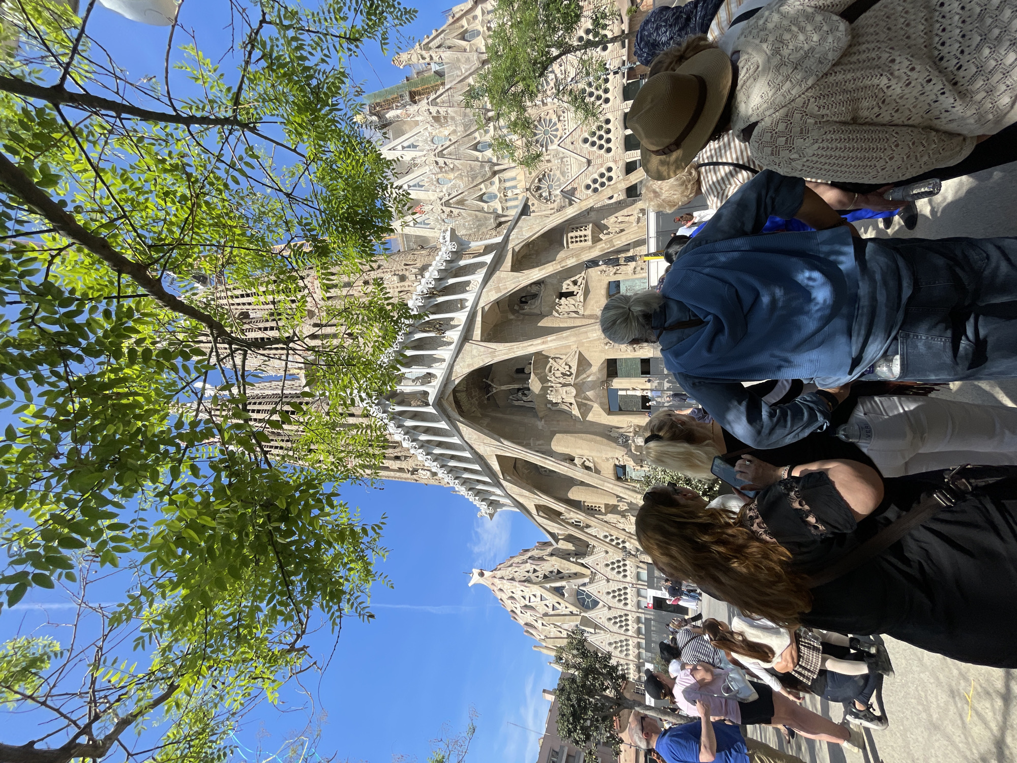The Sagrada Familia in Barcelona, Spain, is the central focus of the image. People, likely tourists, are standing in front of the building. The sky is clear blue, and green leaves from trees in the foreground partially obscure the cathedral. Individuals are looking at the cathedral and their phones. Some people are wearing hats.