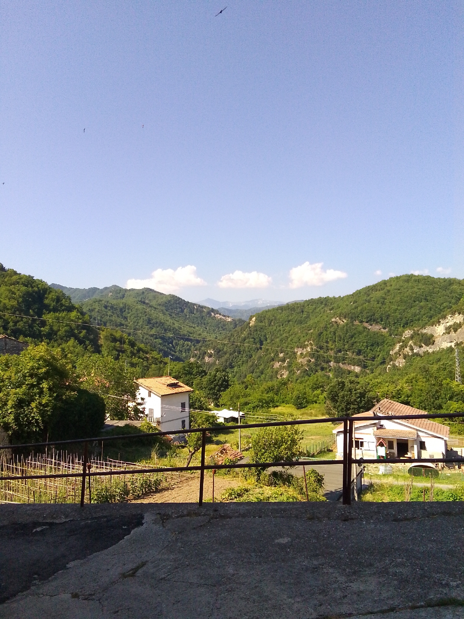 The image depicts a sunlit, rural landscape in Valle Castellana, Italy. In the foreground, a cracked concrete surface transitions to a rusty metal railing, behind which a garden with trellised plants and rows of vegetables is visible. Two houses are situated on the property; one is a white, two-story building with an orange-tiled roof, and the other, to the right, is a smaller, single-story dwelling also with an orange-tiled roof. The houses are surrounded by lush green trees and vegetation. In the background, rolling hills covered in dense green trees stretch towards the horizon under a clear blue sky with a few scattered white clouds. Several birds are visible in flight against the sky. The overall scene conveys a peaceful, natural setting.