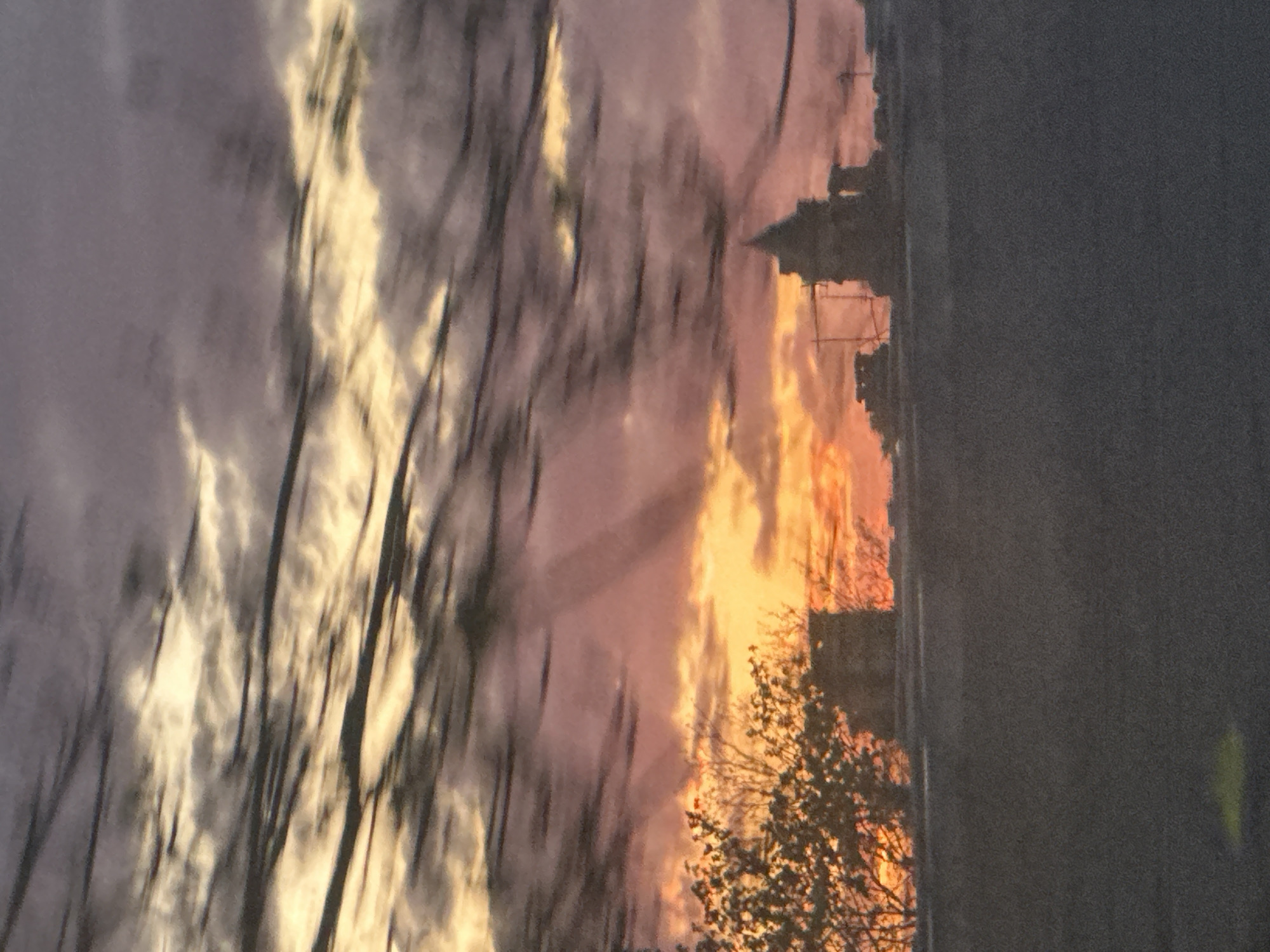 The image depicts a sunset over London, United Kingdom. The sky is filled with clouds illuminated by the setting sun, creating an orange and pink glow. Silhouetted against the sky is the skyline of buildings and structures. In the foreground, there are blurred trees and branches, suggesting the image was taken through a window or from behind some foliage. The overall impression is one of a serene urban landscape bathed in the warm light of sunset.