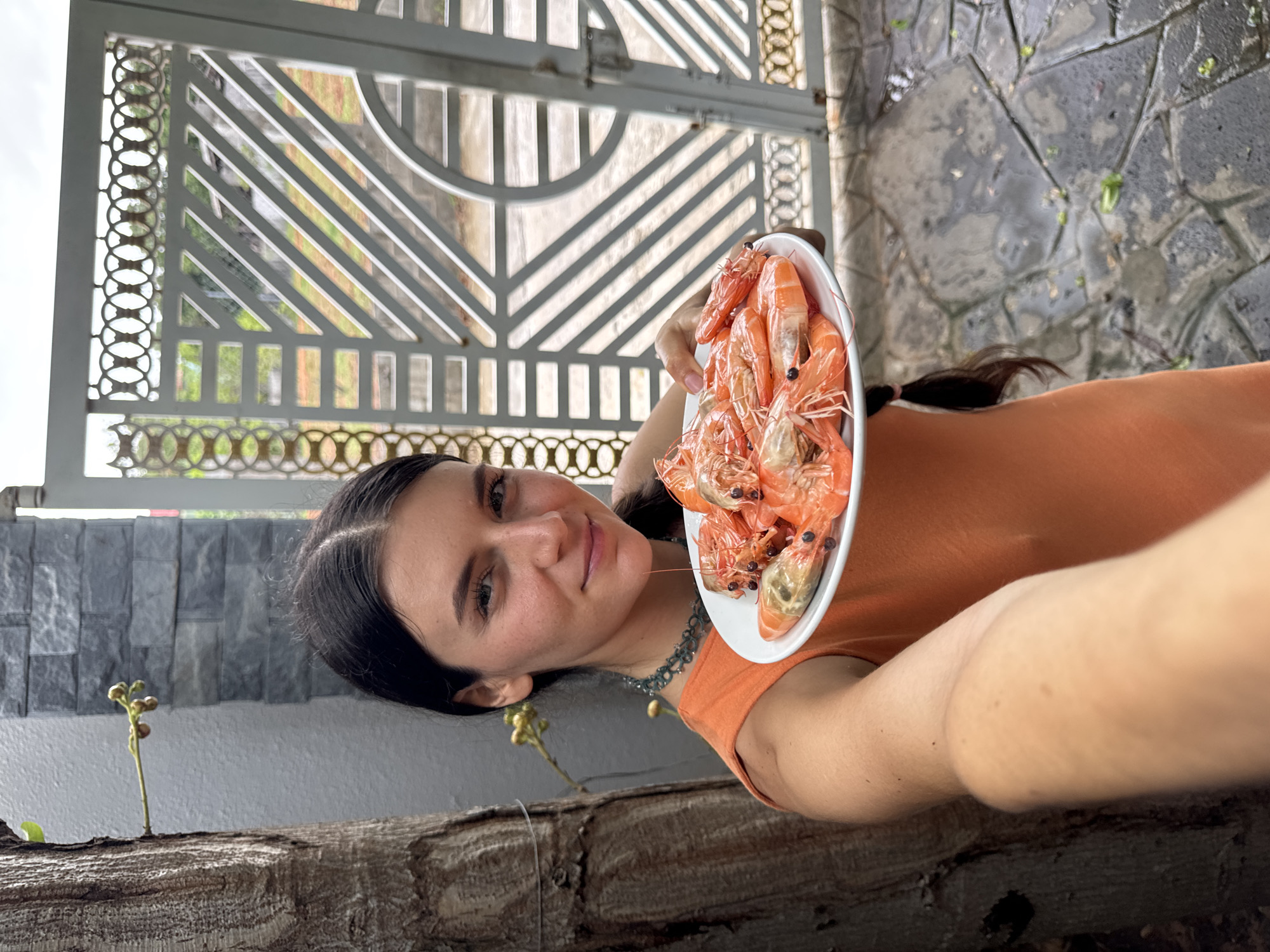 A young woman is captured in a selfie-style image, holding a white oval plate brimming with numerous cooked, reddish-orange shrimp, some adorned with small dark specks. She has dark hair, styled down her back, and is wearing an orange sleeveless top with an intricate, dark-colored necklace. A faint, pleasant smile graces her face as she looks directly at the camera, which she holds with an outstretched arm.
The scene is set outdoors in bright daytime lighting, with the location context provided as Mũi Né, Vietnam. To the woman's left, a decorative, light-colored metal gate with intricate circular and diagonal patterns is visible, revealing glimpses of green foliage and what appears to be a bright sky beyond. To her right, a textured stone wall composed of irregular dark and light grey blocks forms part of the background. In the lower foreground, a thick, rough-textured wooden log or tree trunk runs horizontally, with a small plant bearing buds or berries growing near it. The ground, partially visible, appears to be made of irregular flagstones or pavers.
The woman is engaged in taking a selfie, presumably to capture the moment before enjoying the plate of shrimp. Her gentle smile conveys a sense of contentment. There is no visible text in the image.