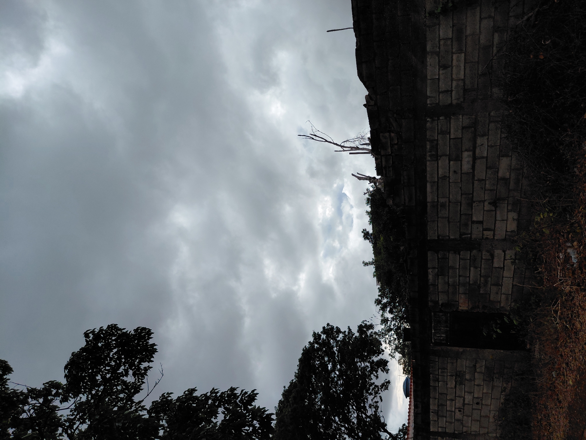 The image captures a static outdoor scene dominated by a heavily overcast sky, filled with varying shades of grey clouds, with some lighter patches suggesting diffused sunlight. The weather appears cloudy, possibly indicating an impending rain or simply an overcast day.
On the right side of the frame, an old, weathered brick structure, likely a wall or part of a building, rises from the bottom to the top. Its dark brickwork is discernible, and it is partially obscured by dense, dry vegetation and what appear to be dead, bare tree branches extending into the cloudy sky. These branches stand out against the grey backdrop.
At the bottom and bottom-left of the image, the dark silhouettes of leafy trees and bushes are visible, contrasting sharply with the bright, cloudy sky. There is no discernible human activity or visible text in the image. The scene conveys a somewhat muted and quiet atmosphere, typical of an overcast day. The provided location context is Santa Ana, Venezuela.