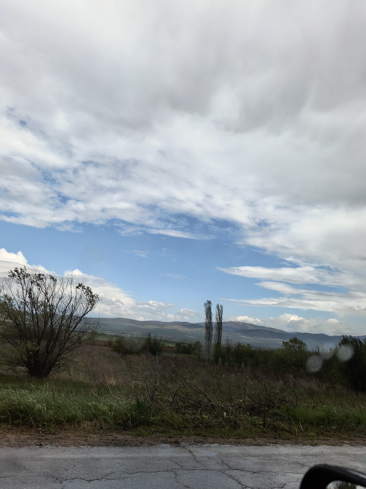 This image presents a broad landscape view, likely captured from inside a moving vehicle, as indicated by the cracked asphalt road in the foreground and a glimpse of a car's side mirror in the bottom right corner.
The scene unfolds across a rural or semi-rural setting under a dynamic sky. The immediate foreground shows the textured surface of a dark, cracked road. Beyond this, the land rises gently, covered with a mix of dry, light-brown vegetation and patches of vibrant green grass. To the left, a prominent, bushy tree with mostly bare branches and some sparse green foliage stands out, suggesting late winter or early spring.
In the middle ground, the fields extend further, dotted with various shrubs and trees. Two exceptionally tall, slender trees with dark, vertical trunks stand out prominently towards the right side of the frame, reaching towards the sky. The background reveals a series of undulating hills and mountains, appearing somewhat muted and hazy against the horizon.
The sky occupies more than half of the image, showcasing a combination of bright blue patches and a vast expanse of white and grey clouds. Some clouds are fluffy and distinct, while others are stretched and diffused, indicating a partly cloudy or changeable weather pattern. The overall brightness suggests it is daytime. There are no visible people, animals, or text within the frame. The image conveys a serene sense of open nature and the quiet passage through a scenic environment.