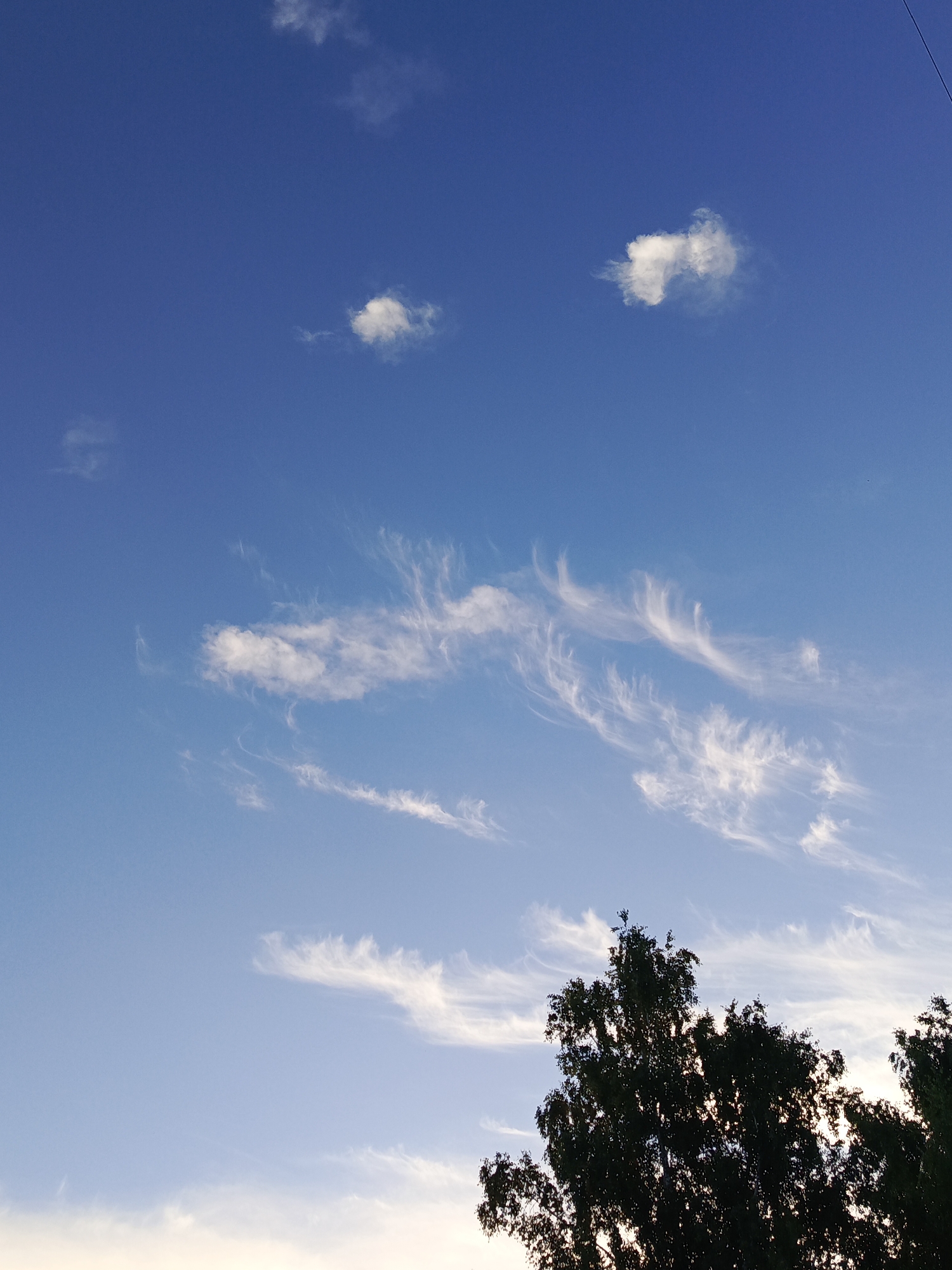 The image shows a clear blue sky with wispy white clouds and the dark silhouettes of trees at the bottom. The sky is a vibrant blue, with some lighter tones near the horizon, suggesting it is either early morning or late afternoon. The clouds are scattered, with some appearing as small, fluffy puffs and others as long, feathery streaks. The trees are densely leaved and appear to be a mix of deciduous and possibly evergreen varieties. The overall impression is one of a peaceful, natural scene. Without any identifiable landmarks, it is impossible to determine the specific location in the city of Chaikovsky, Russia.