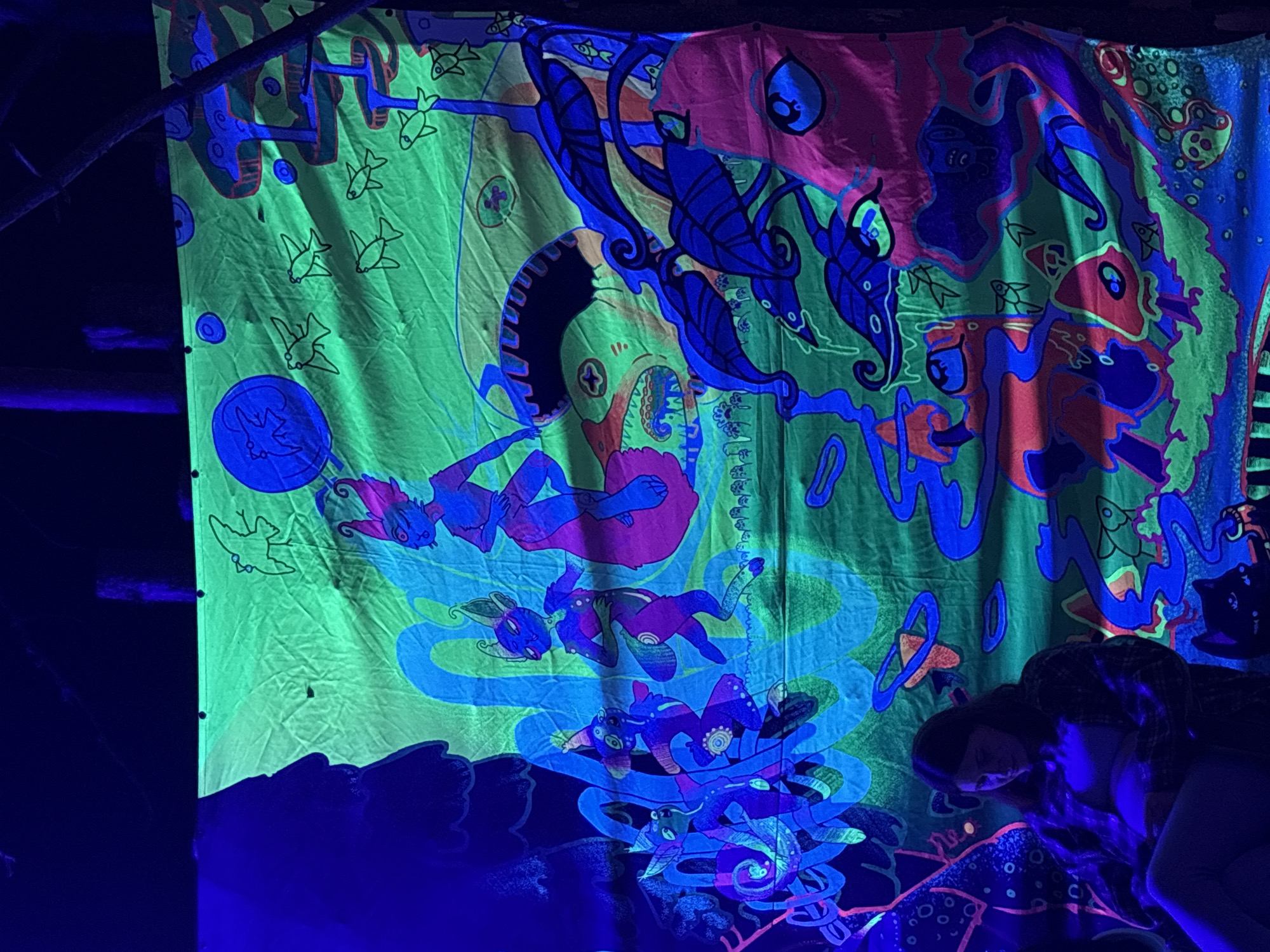 A person is seated in front of a large, neon-colored tapestry that is illuminated by blacklight. The tapestry depicts a fantastical, surreal scene with various alien-like figures, plants, and cosmic elements. The overall atmosphere is psychedelic and dreamlike. The location is identified as Myl'niki, Russia.