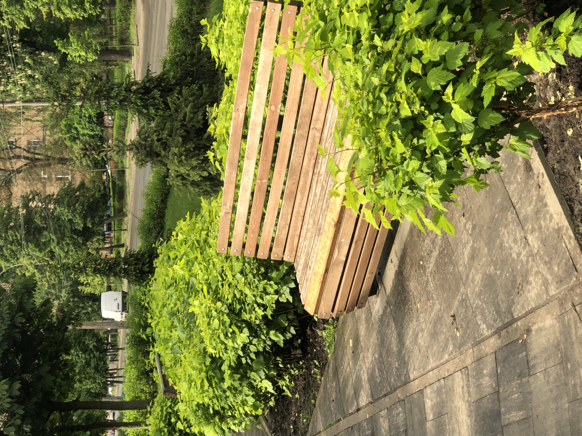 A park bench with a wooden slatted seat is positioned between a paved walkway and a green hedge. The bench is partially obscured by the hedge. Beyond the hedge is a street with a white van parked on the side. Trees and buildings are visible in the background. The image appears to be taken in a park or green space in an urban environment. The park is located in Kyiv, Ukraine.