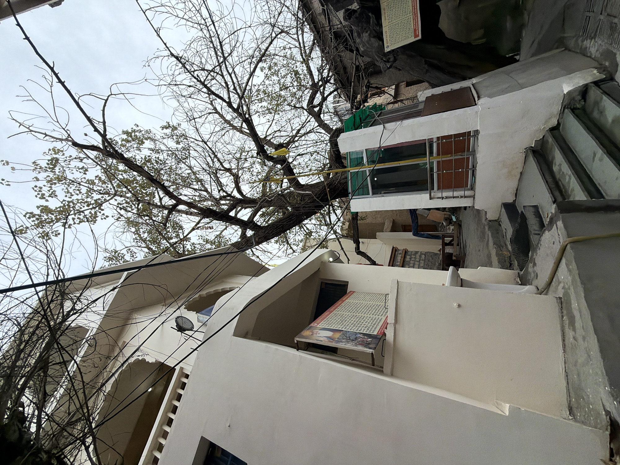 The image depicts an outdoor scene in Leh, India, possibly near a temple or religious site. A white building with multiple levels and a balcony dominates the left side of the frame. A large, bare tree with twisting branches grows upwards through the center, its canopy partially obscuring the sky. In front of the building, a large sign with text and an image of a person in traditional attire is displayed. The ground level shows a set of stairs leading upwards towards a covered entrance with a green awning and a metal railing. The environment appears to be somewhat urban, with visible electrical wires and other buildings in the background. The sky is overcast, suggesting a cloudy day.