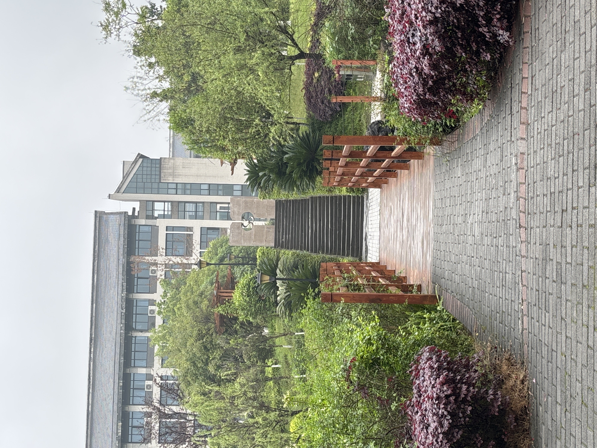 The image shows a path lined with greenery leading up to a modern building in Jiangjin, China. The path is paved with grey bricks and bordered by dark red bushes and various green plants and trees. A wooden bridge with a trellis-like structure spans a section of the path. Beyond the bridge, the path ascends via a set of concrete stairs. The building in the background is multi-story with numerous windows and light-colored siding. The sky appears overcast. No people are visible in the image.