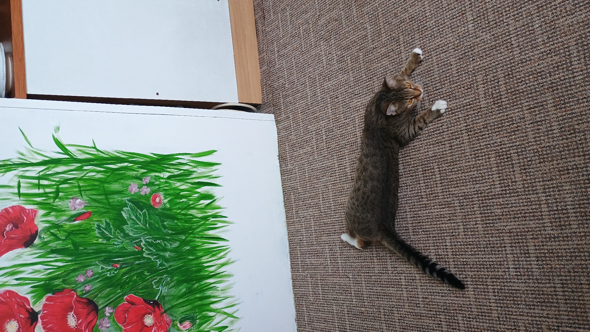 A tabby cat with white paws and a striped tail is lying stretched out on a brown carpet in front of a large white canvas. The canvas features a painting of red poppies and green grass. To the right of the canvas, a portion of a white cabinet with a wooden trim is visible. The scene is indoors.
