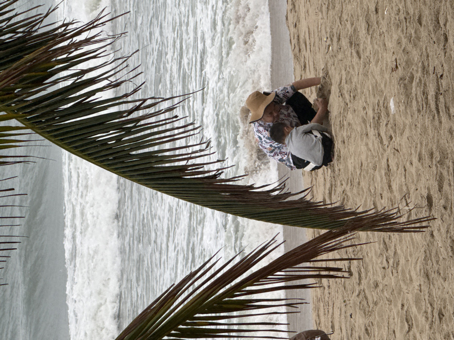 The image displays a beach scene in Nha Trang, Vietnam, characterized by overcast conditions and active ocean waves. Two individuals are positioned on the light brown sand in the midground, framed by dark green and brown palm fronds that partially obscure the top and left of the scene.
An adult, wearing a wide-brimmed straw hat, a white collared shirt with a floral pattern, and dark trousers or shorts, is crouched down on the sand, facing slightly right and looking downwards. His hands are near the sand. To his immediate left, a young child, dressed in a light gray long-sleeved shirt and dark shorts, is also in a squatting position, facing the adult and interacting with the sand with both hands. Both individuals appear focused on the sand.
The background consists of a turbulent gray ocean with multiple lines of white-capped waves breaking towards the shore, indicating rough sea conditions. The sand shows minor undulations. No other objects or individuals are clearly identifiable.
