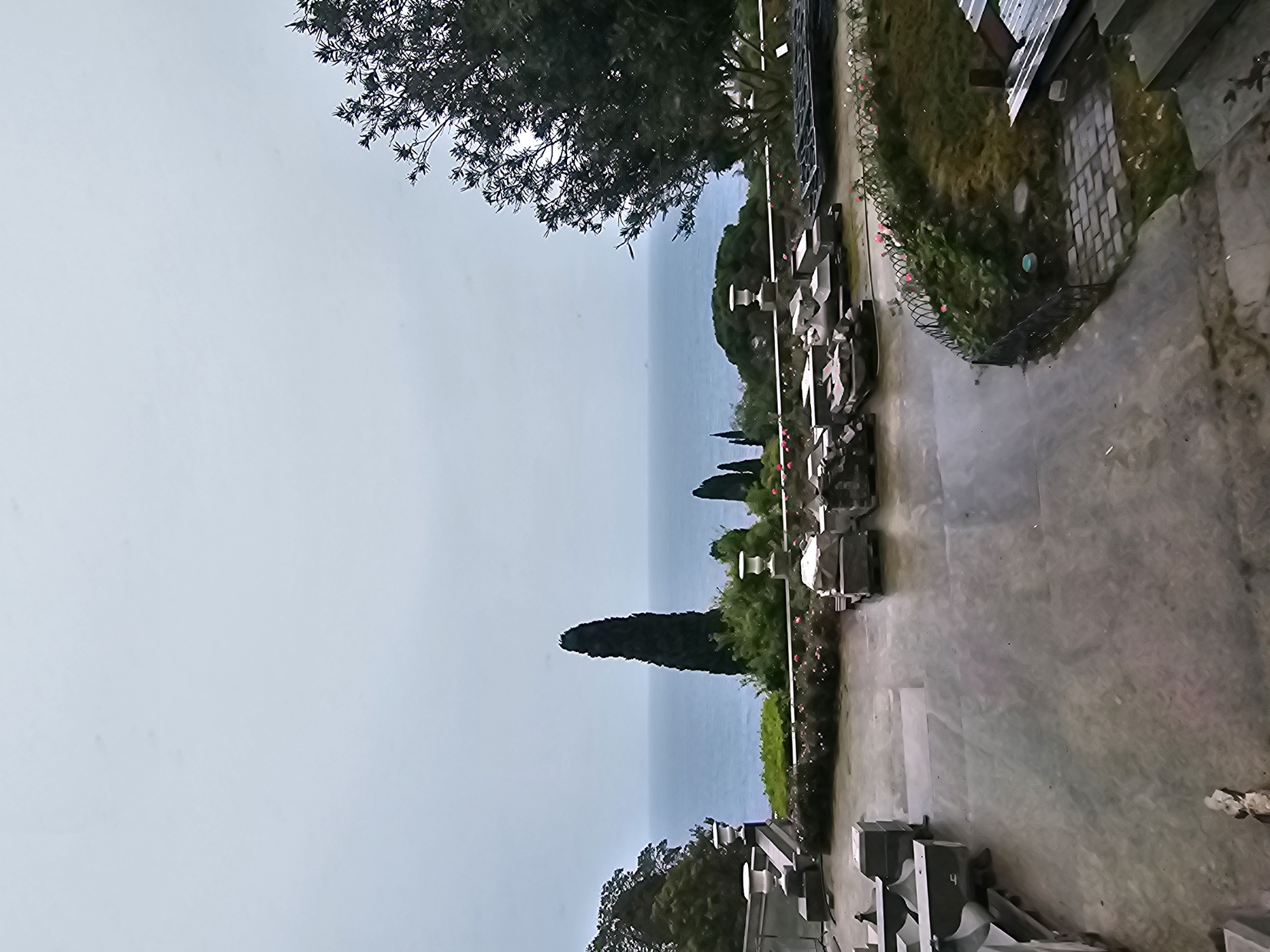 The image shows a view of the sea from a cemetery located in Алупкинский городской совет, Ukraine. The photo is taken from a high vantage point, looking down on a pathway that runs through the cemetery. Gravestones and monuments are visible along the pathway, interspersed with greenery. In the background, the sea is visible under a gray sky. A tree is visible in the top left corner of the image. The pathway is paved with stone and appears to be slightly wet or damp. There are no people visible in the image.