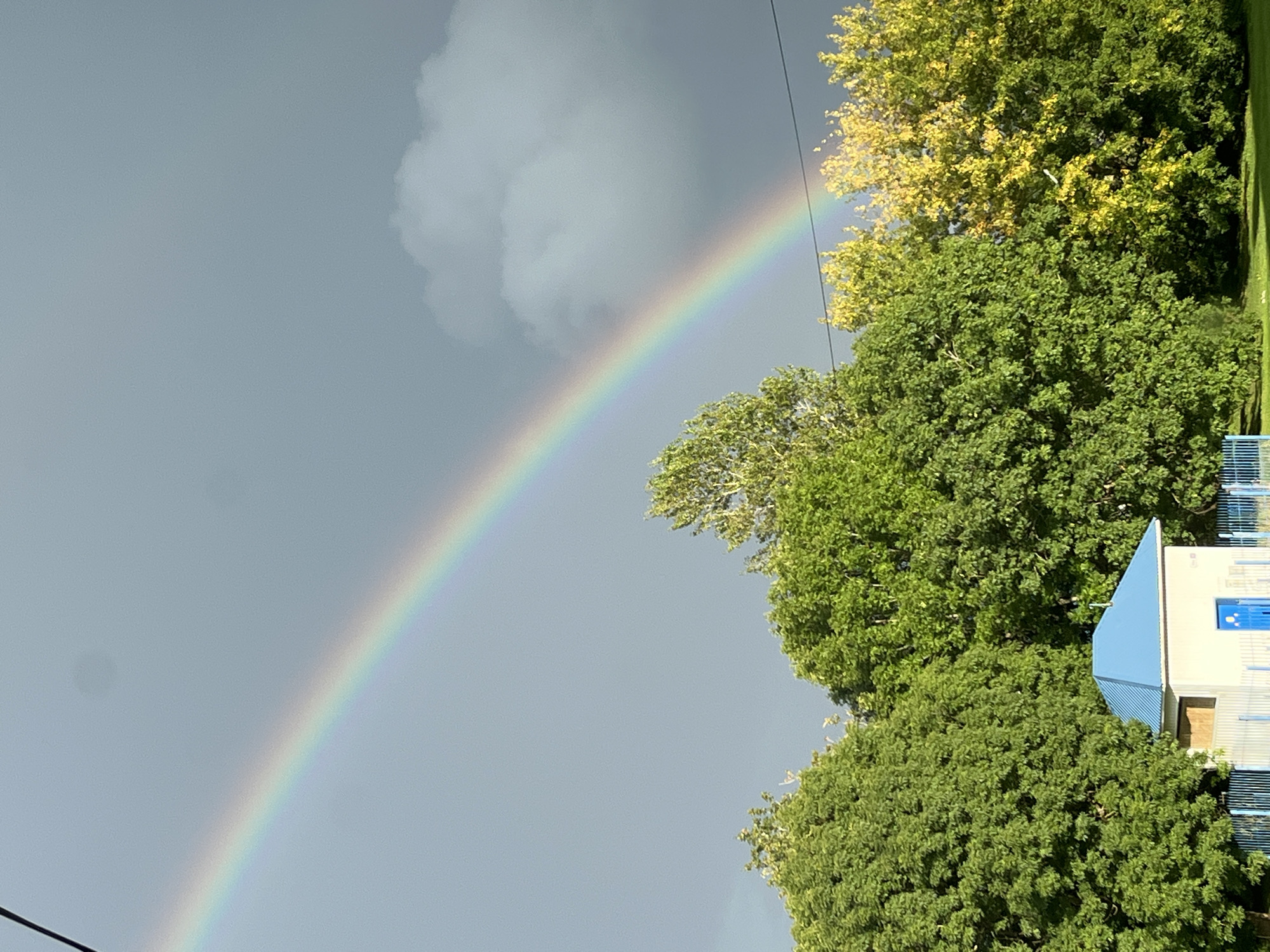 A full-frame, eye-level shot captures a rainbow arcing across a gray, cloudy sky, with the bottom portion of the arc visible above a line of lush green trees. A small, light-colored building with a blue, pitched roof and a blue door is nestled amongst the trees in the lower left quadrant. A blue fence runs horizontally in front of the building. The image appears to be taken outdoors in a park-like setting within Kohtla-Järve linn, Estonia.
