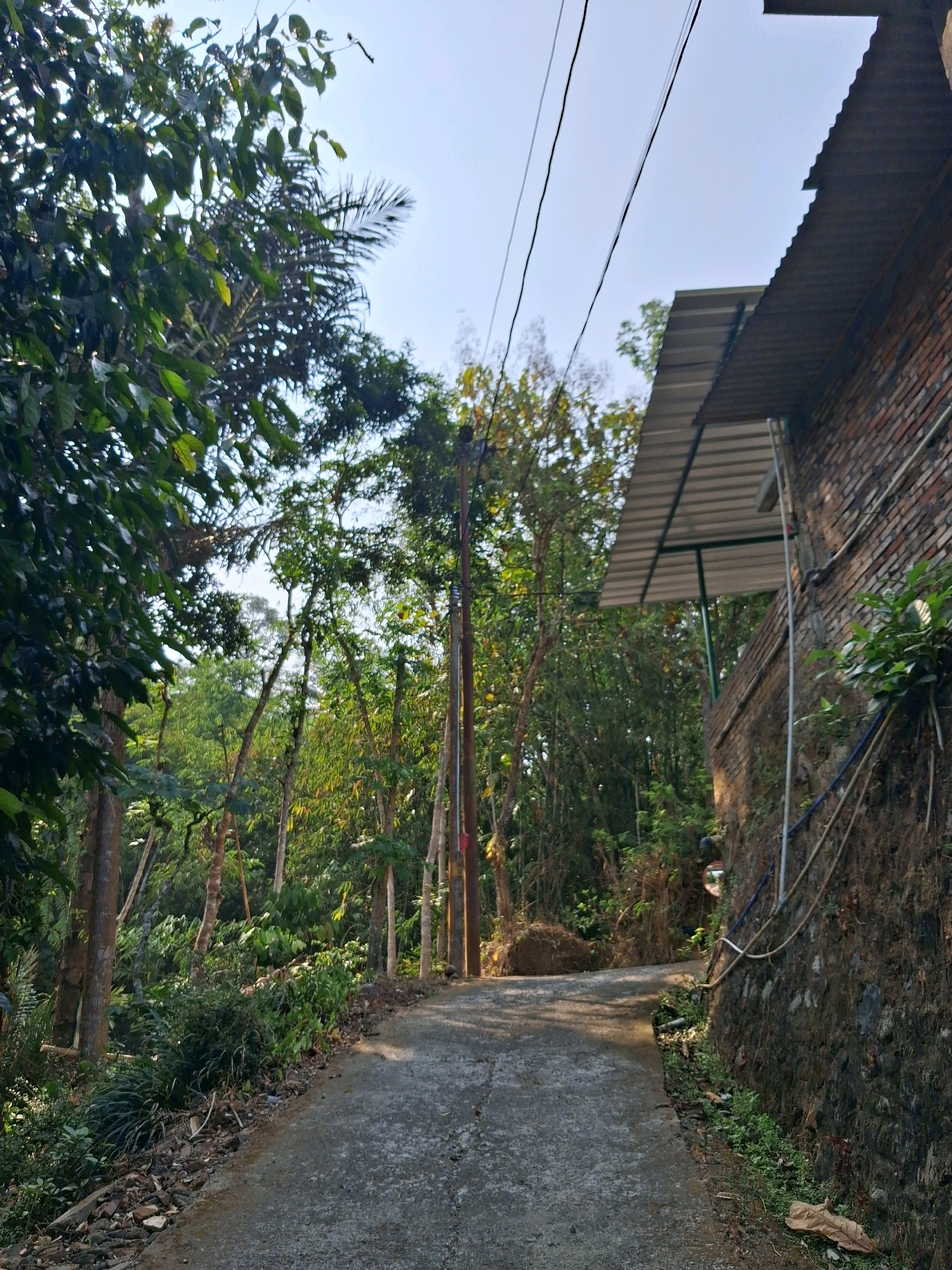 The image depicts a narrow, paved road winding through a lush, green environment with dense foliage on both sides. The road is made of concrete and shows signs of wear. On the right side of the road, a brick wall is visible, rising up the side of a hill. A metal roof structure extends from the brick wall over the road. Several electrical wires are strung across the sky above the road, supported by wooden utility poles. The environment appears to be a rural or semi-rural area, with a clear sky overhead. There are no people visible in the image. The scene is likely located in Medono, Indonesia, given the context provided.