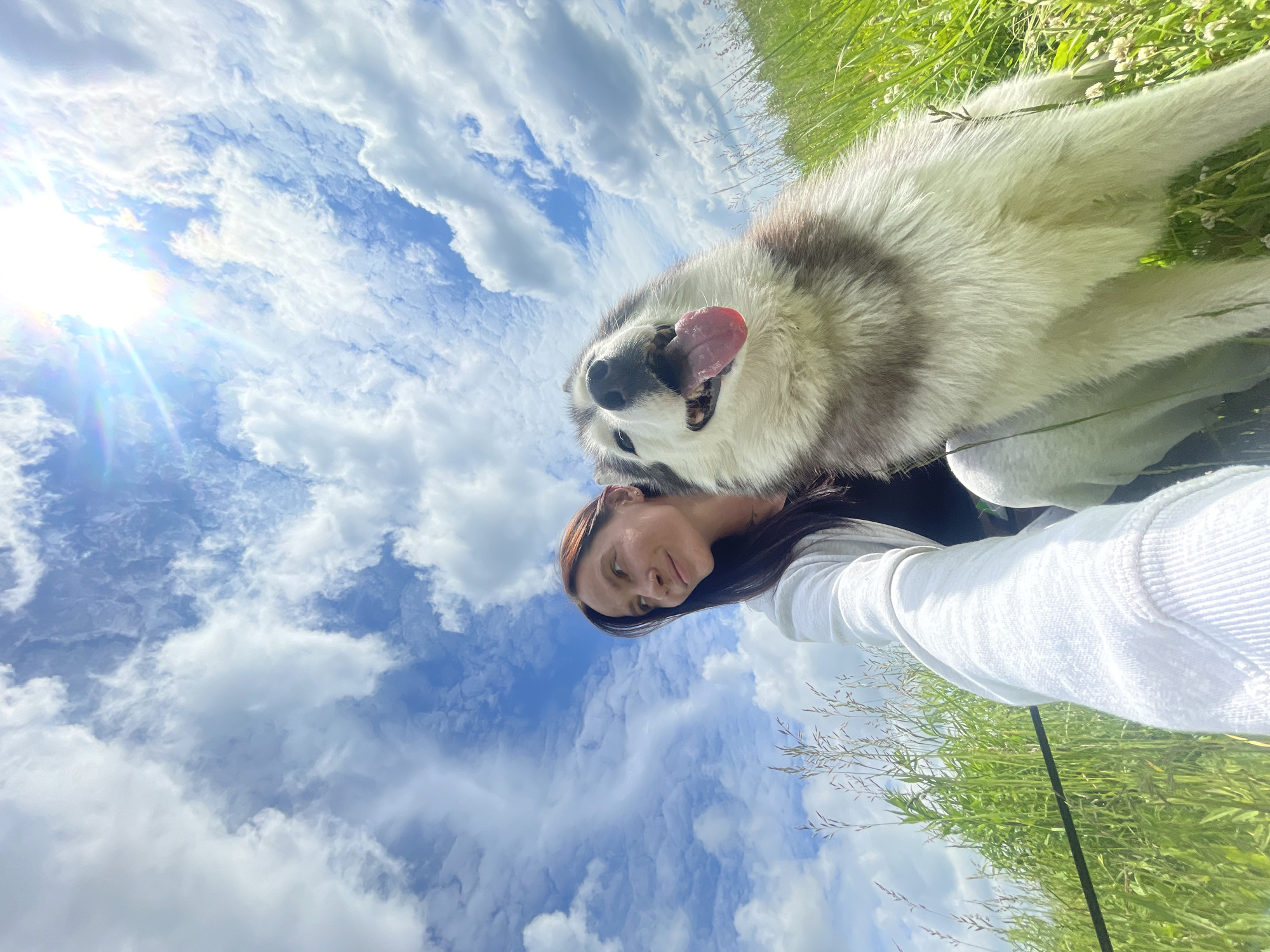 In Izhevsk, Russia, a woman with dark hair, wearing a white hoodie over a dark shirt, and a Siberian Husky dog are pictured in a grassy field under a bright, cloudy sky. The woman is looking to her left and smiling, while the dog is looking directly at the camera with its tongue out. The sun is shining brightly, creating lens flare in the upper right portion of the image. The field is covered in tall green grass and some smaller white flowers. A leash is visible extending from the woman's left hand, attached to the dog. The perspective of the photograph is from a low angle, looking upwards towards the sky and the subjects.