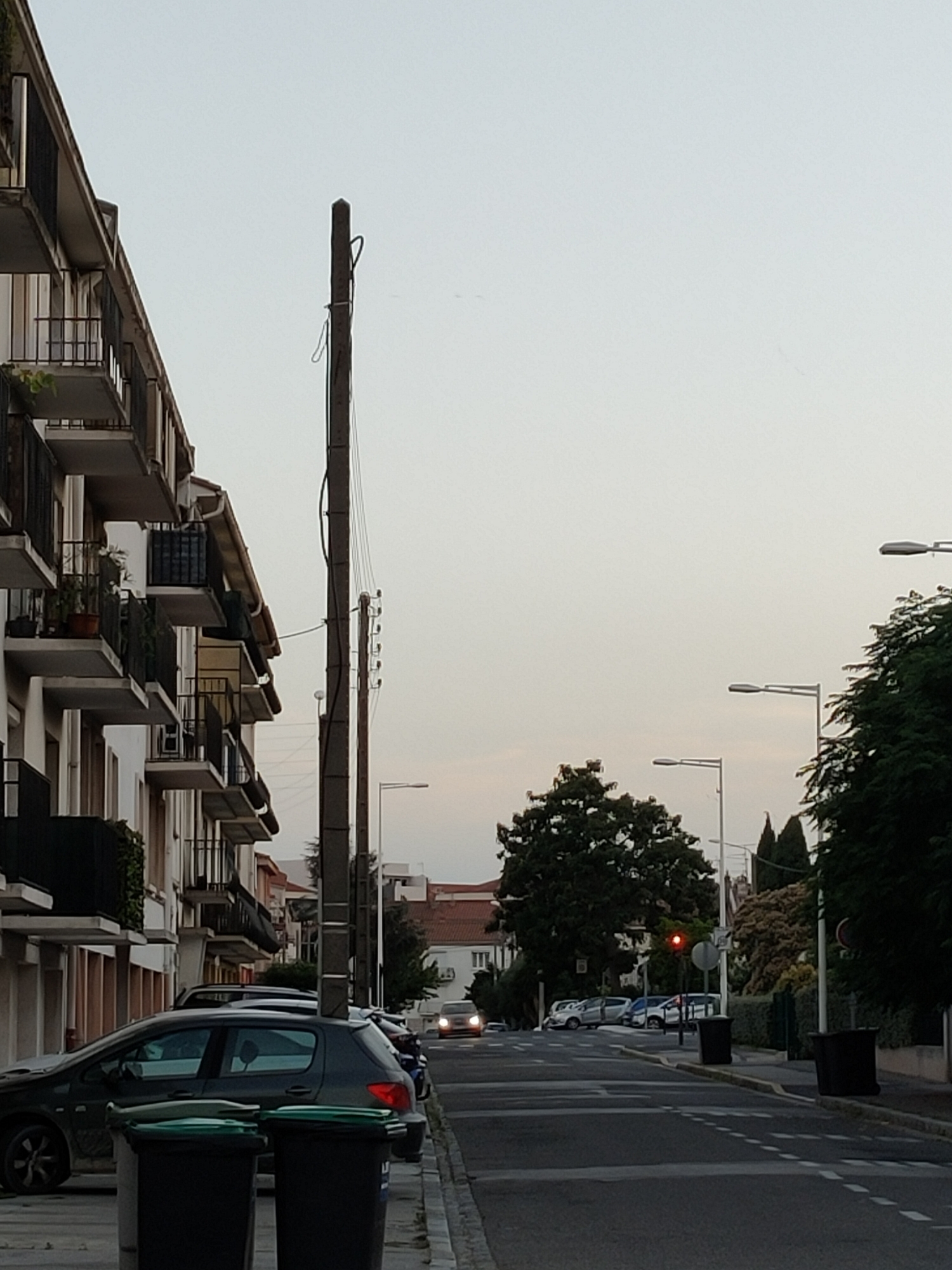 This is a vertical, eye-level, medium shot of a residential street in Perpignan, France, at dusk. The sky is overcast and a pale gray, suggesting a mild or humid evening. The street is lined with apartment buildings on the left and trees and houses on the right.
On the left, a multi-story apartment building with white walls and several balconies with dark railings dominates the foreground. Some balconies have plants. A tall, dark utility pole with wires and insulators stands next to the building. In the immediate foreground, two black trash cans with green lids are visible on the sidewalk.
The street is paved and has dashed white lines marking lanes. Several cars are parked along the right side of the street and more are visible further down the road. A traffic light with a red light illuminated is visible in the distance, suggesting traffic is stopped. The overall mood is quiet and ordinary, typical of a residential neighborhood in the early evening. The specific location cues (apartment building style, trees, and traffic light) are consistent with a European urban setting. No people are visible in the frame.