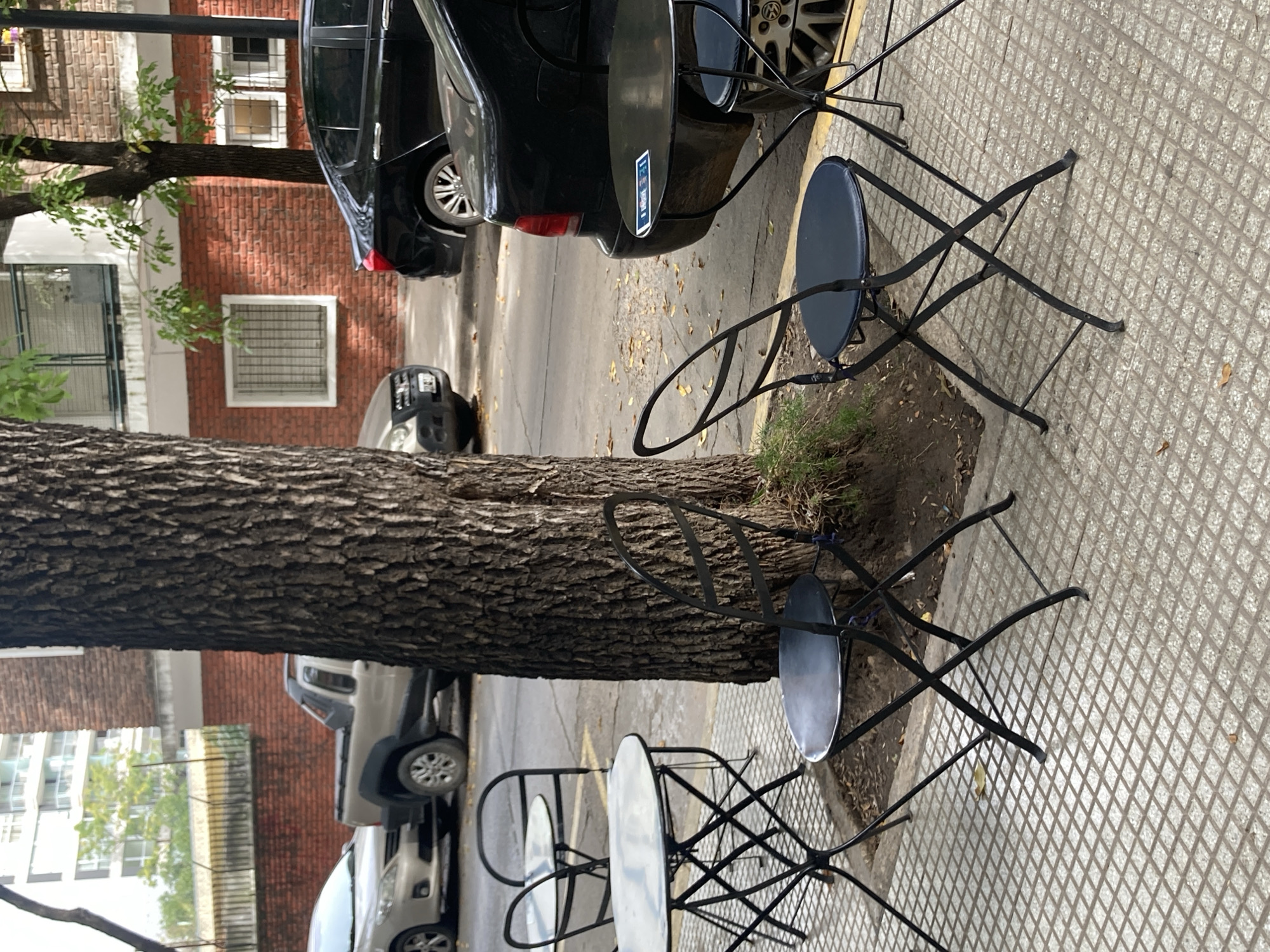 The image shows a street scene with outdoor seating for a café or restaurant. The seating consists of small, round tables and folding chairs made of black metal. The tables are arranged on a sidewalk made of patterned concrete tiles. A large tree trunk is situated near the tables. Several cars are parked nearby on the street. In the background, buildings with brick facades and windows are visible.