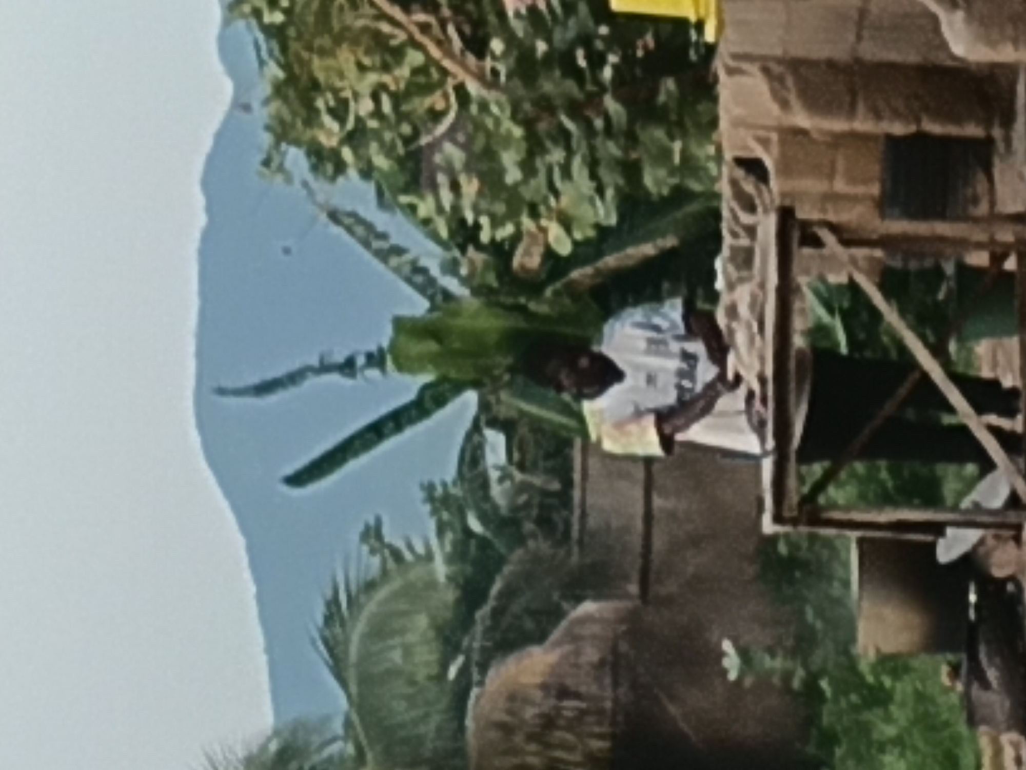 The image depicts an outdoor scene, likely in a rural or semi-rural area, possibly Jalingo, Nigeria, given the vegetation and mountainous backdrop. In the foreground, a person wearing a white t-shirt with some colorful smudges on the shoulder is seen standing behind a rustic wooden table. The person appears to be engaged in some activity, possibly preparing food or working with materials on the table. To the left of the table, a large pot is visible, suggesting cooking or processing is taking place. The environment is lush with tropical vegetation, including palm trees and banana plants. In the background, a prominent mountain range forms the horizon under a light-colored sky. The overall atmosphere suggests a day's work in a natural setting.