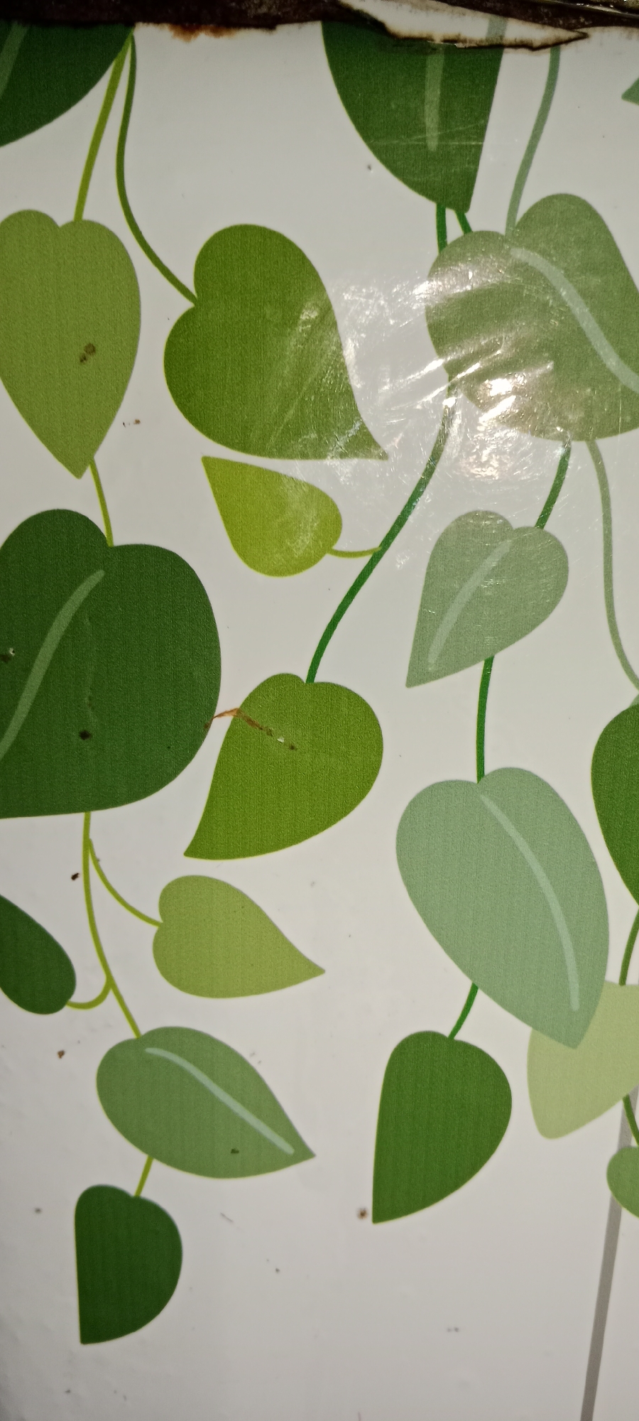 The image depicts a close-up of a patterned surface, likely a wall or a decorative item, featuring a repeating motif of green heart-shaped leaves on thin green vines against a white background. The leaves vary in shades of green, from deep emerald to a lighter, more muted tone, and some have a subtle vein pattern. The surface appears to be slightly textured and shows some minor imperfections, such as small dark spots and faint scuff marks. A section of dark, possibly metallic or rusted material is visible along the top edge of the image, suggesting it might be part of a framing or structural element. The overall impression is of a decorative pattern that might be found in a home or a public space. There are no people or specific landmarks visible in the image that would indicate a precise location in Subang, Indonesia, or any other city.