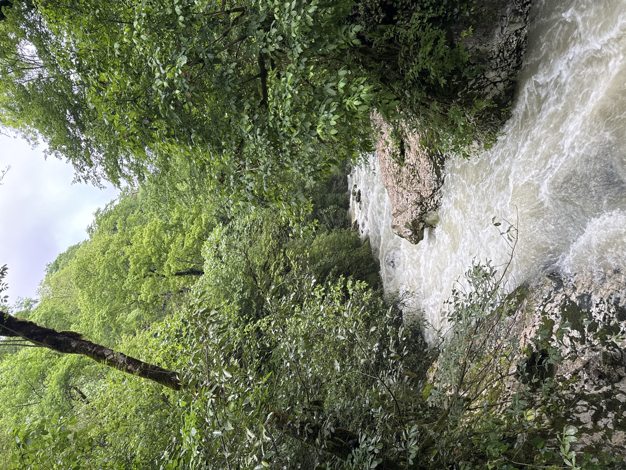 The image depicts a river flowing through a forest, likely in Tsabal, Abkhazia. The water is turbulent and appears muddy. Large rocks are visible in and along the riverbed. Dense green foliage covers the surrounding areas, including trees, bushes, and other plants. The sky is overcast.
