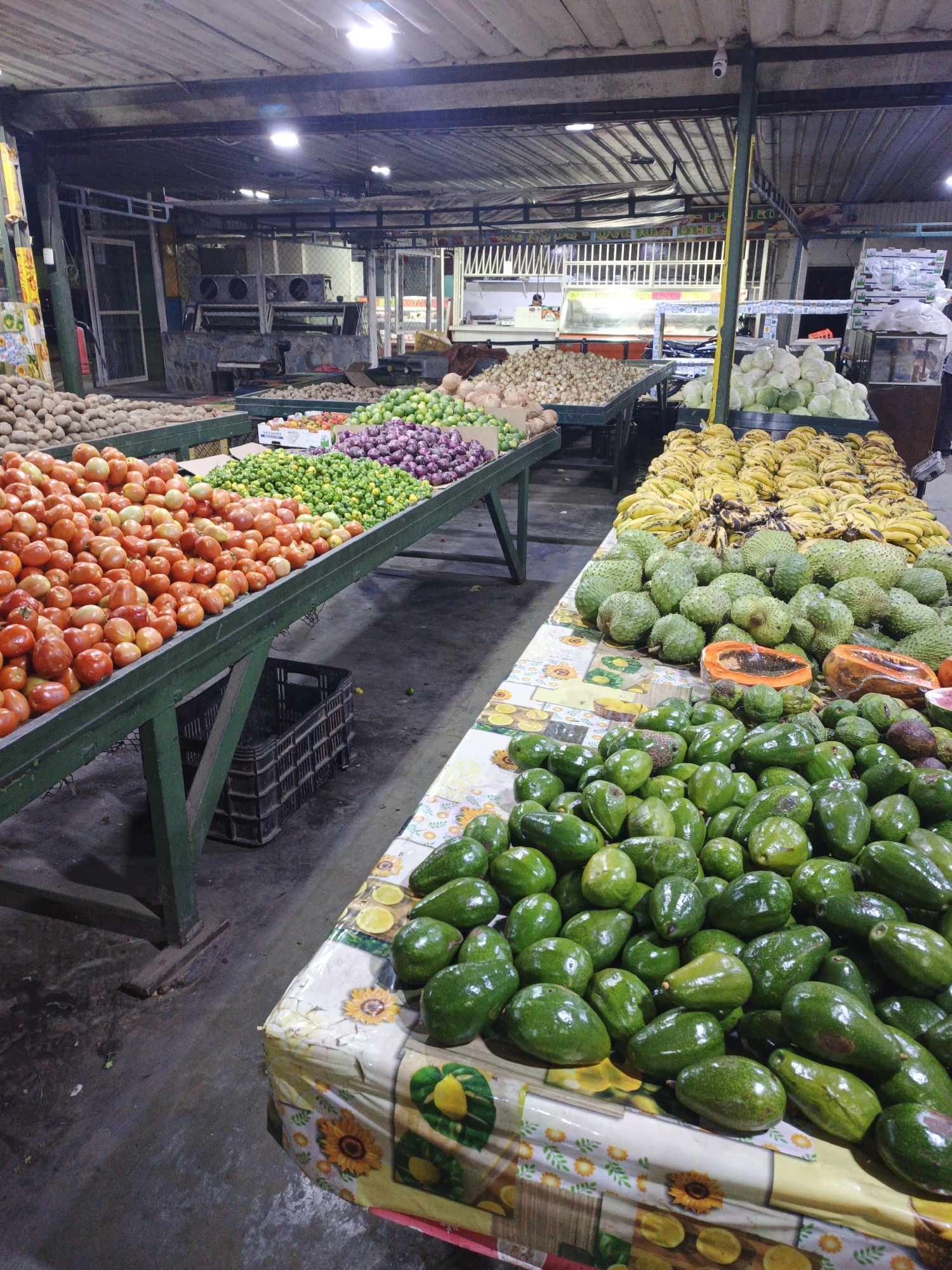 The image depicts a vegetable market in Tinaquillo, Venezuela. The scene shows several tables piled high with a variety of fresh produce. The closest table is covered with a sunflower-patterned cloth and is laden with green avocados. Behind that table is one containing soursop, bananas, and cut papaya. Further back are other tables displaying tomatoes, limes, red onions, white onions, potatoes, and cabbages. The market is covered by a metal roof with overhead lighting. A security camera is fixed to a pole. In the background, an unidentified person is behind a counter. Additional details include a refrigeration unit, a black crate, and the concrete floor.