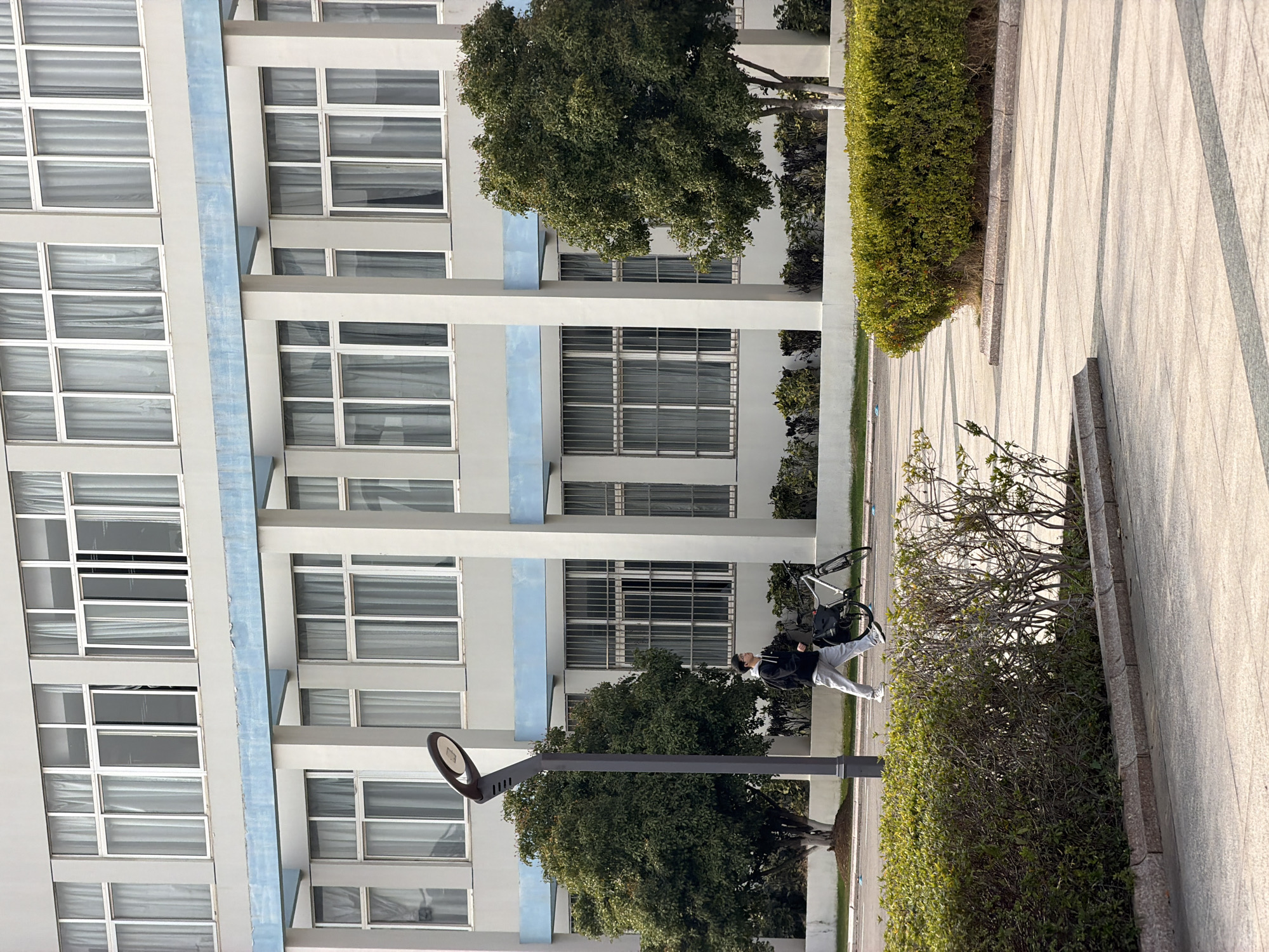 In Jiangning District, China, a multi-story light gray building with light blue horizontal beams and vertical columns dominates the background. The building features numerous white-framed windows, most displaying white curtains. Some upper-floor windows are partially open, while ground-floor windows are fitted with vertical metal security bars. In the midground, a young male wearing a black hooded sweatshirt, light gray sweatpants, and white sneakers walks from left to right, accompanying a white-framed bicycle with a black bag attached to its rear rack. A dark gray modern street lamp with an oval light fixture stands prominently in the left-midground. The environment includes several green trees and various green hedges. The ground is paved with light-colored square tiles interspersed with darker linear patterns, and a light-colored curb defines areas of landscaping. Natural daylight illuminates the scene.