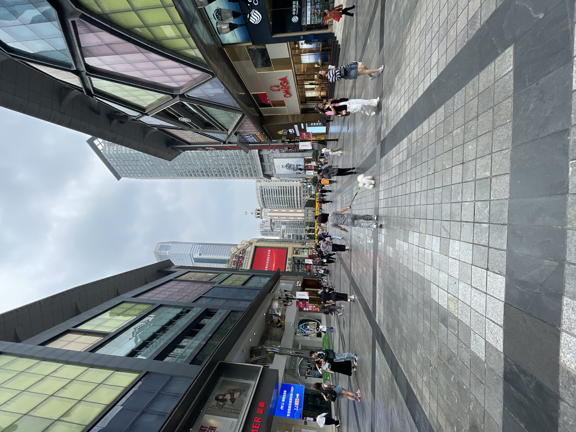 The image captures a bustling street scene in Yuzhong District, China. Tall buildings loom on either side of the pedestrian walkway, with storefronts displaying logos for Omega and China Mobile. People are walking along the sidewalk, some with small dogs. The pavement is composed of gray tiles. Advertisements and signs are visible on the building facades. The sky is overcast.